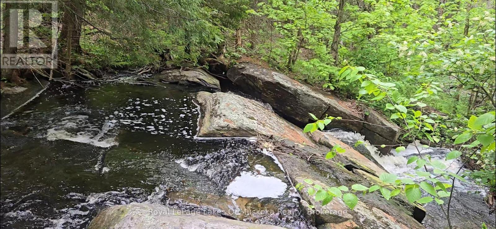 214 North Lancelot Road, Huntsville, Ontario  P0B 1M0 - Photo 46 - X12294693