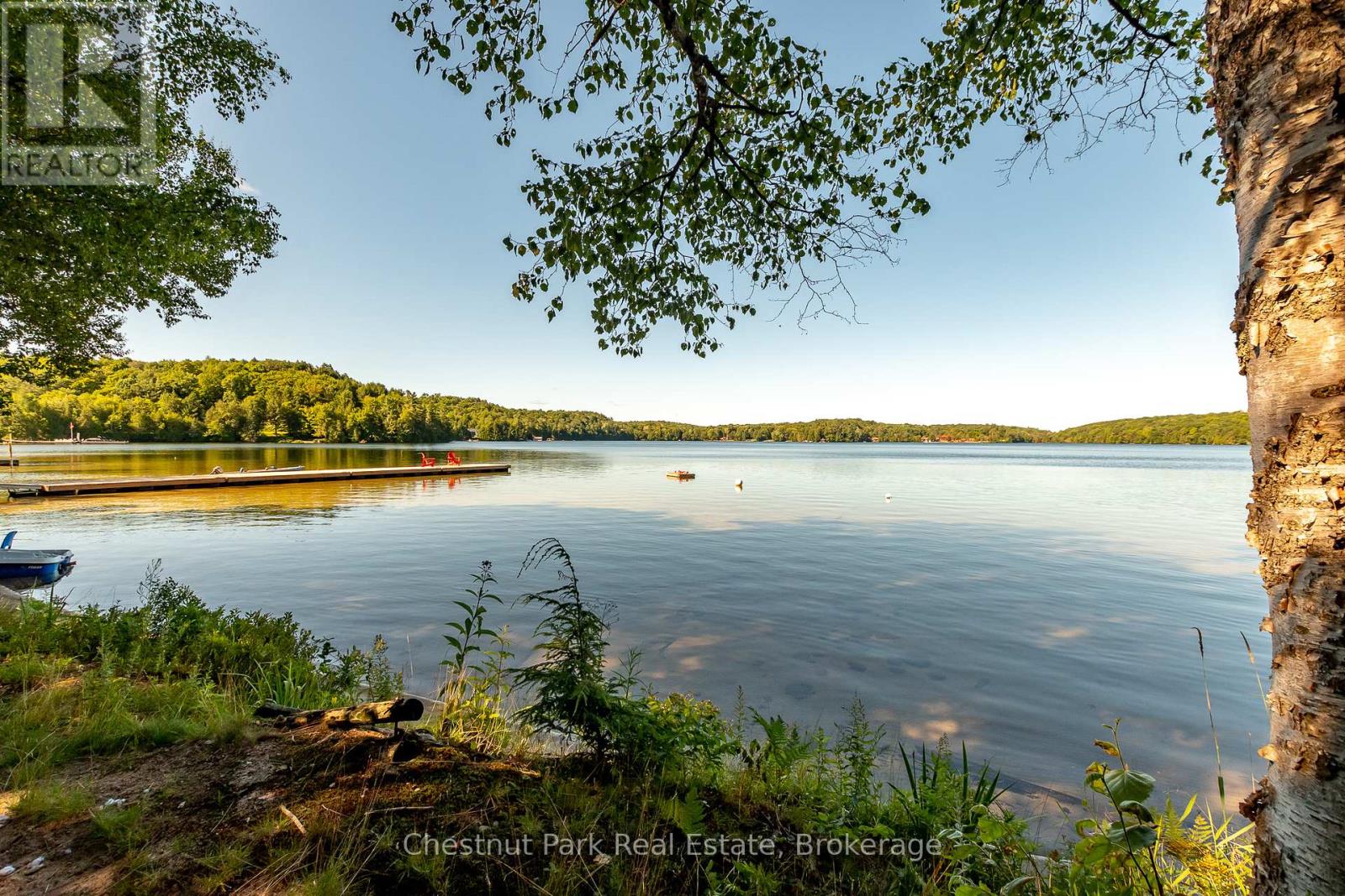 Unit 1 - 1167 Skeleton Lake 5 Road S, Muskoka Lakes, Ontario  P0B 1M0 - Photo 3 - X12296863