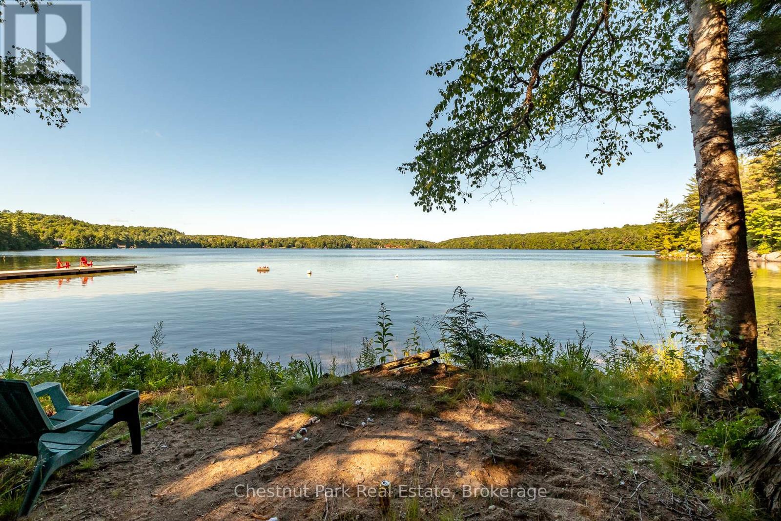 Unit 1 - 1167 Skeleton Lake 5 Road S, Muskoka Lakes, Ontario  P0B 1M0 - Photo 4 - X12296863