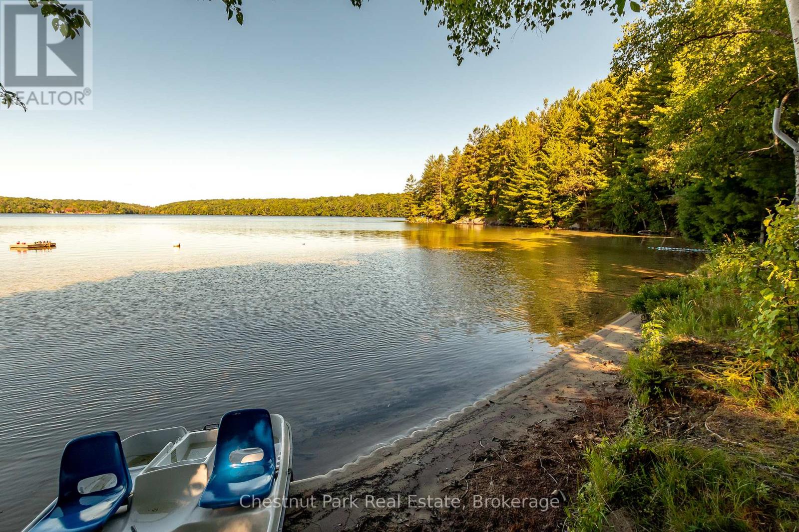 Unit 1 - 1167 Skeleton Lake 5 Road S, Muskoka Lakes, Ontario  P0B 1M0 - Photo 5 - X12296863
