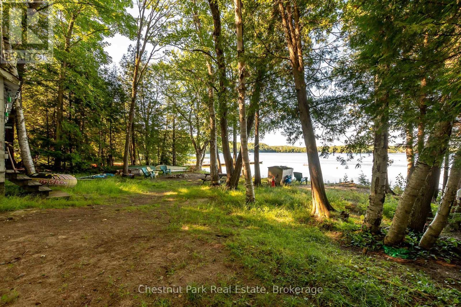 Unit 1 - 1167 Skeleton Lake 5 Road S, Muskoka Lakes, Ontario  P0B 1M0 - Photo 9 - X12296863