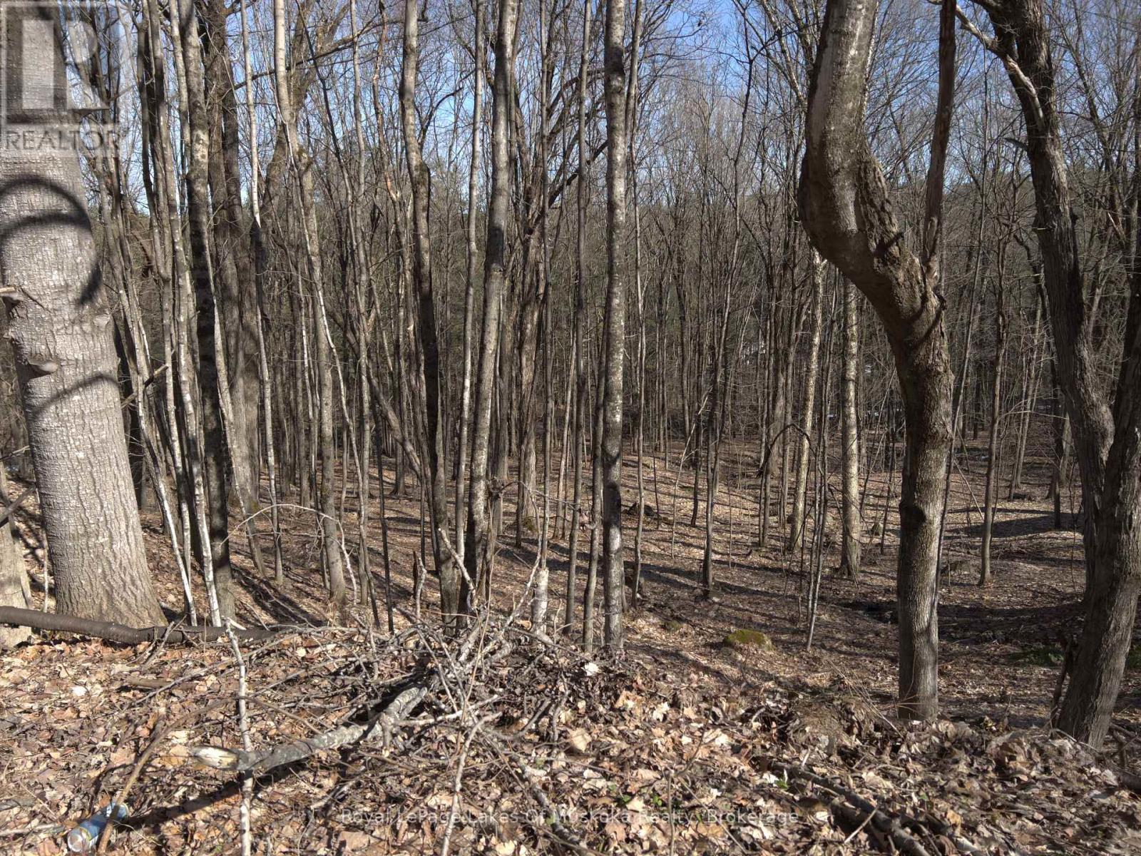 0 South Muskoka Drive, Bracebridge, Ontario  P1L 1M4 - Photo 1 - X12298464