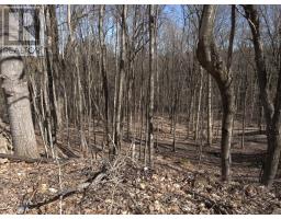 0 SOUTH MUSKOKA DRIVE, Bracebridge, Ontario