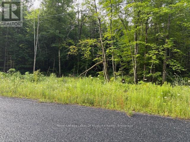 60 Summer Leigh Trail, Huntsville, Ontario  P0B 1M0 - Photo 10 - X12307159