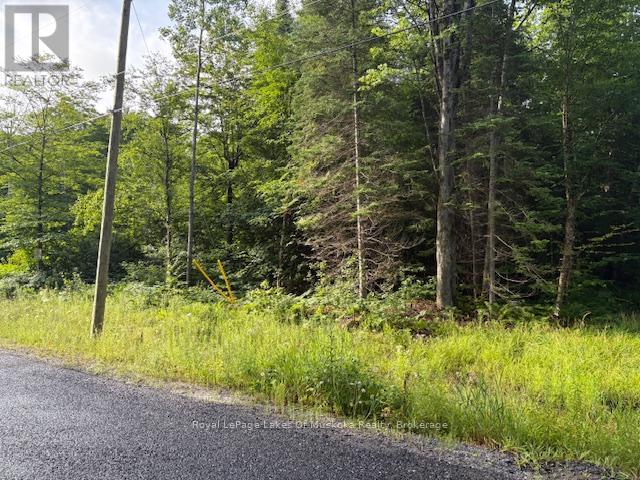 60 Summer Leigh Trail, Huntsville, Ontario  P0B 1M0 - Photo 4 - X12307159