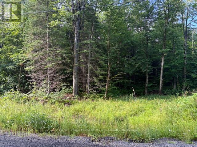 60 Summer Leigh Trail, Huntsville, Ontario  P0B 1M0 - Photo 5 - X12307159