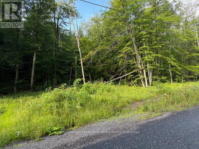 60 Summer Leigh Trail, Huntsville, Ontario  P0B 1M0 - Photo 6 - X12307159