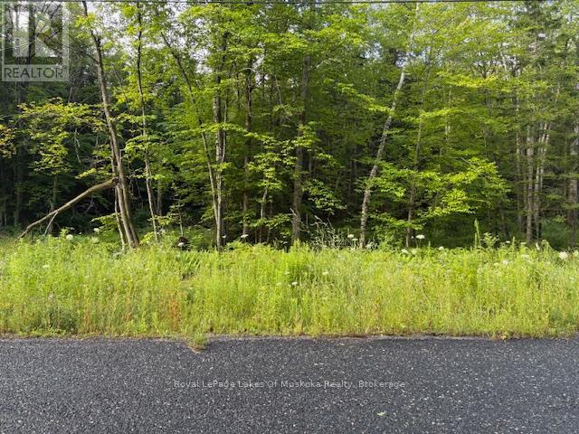 60 Summer Leigh Trail, Huntsville, Ontario  P0B 1M0 - Photo 9 - X12307159