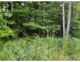 60 SUMMER LEIGH TRAIL, Huntsville, Ontario