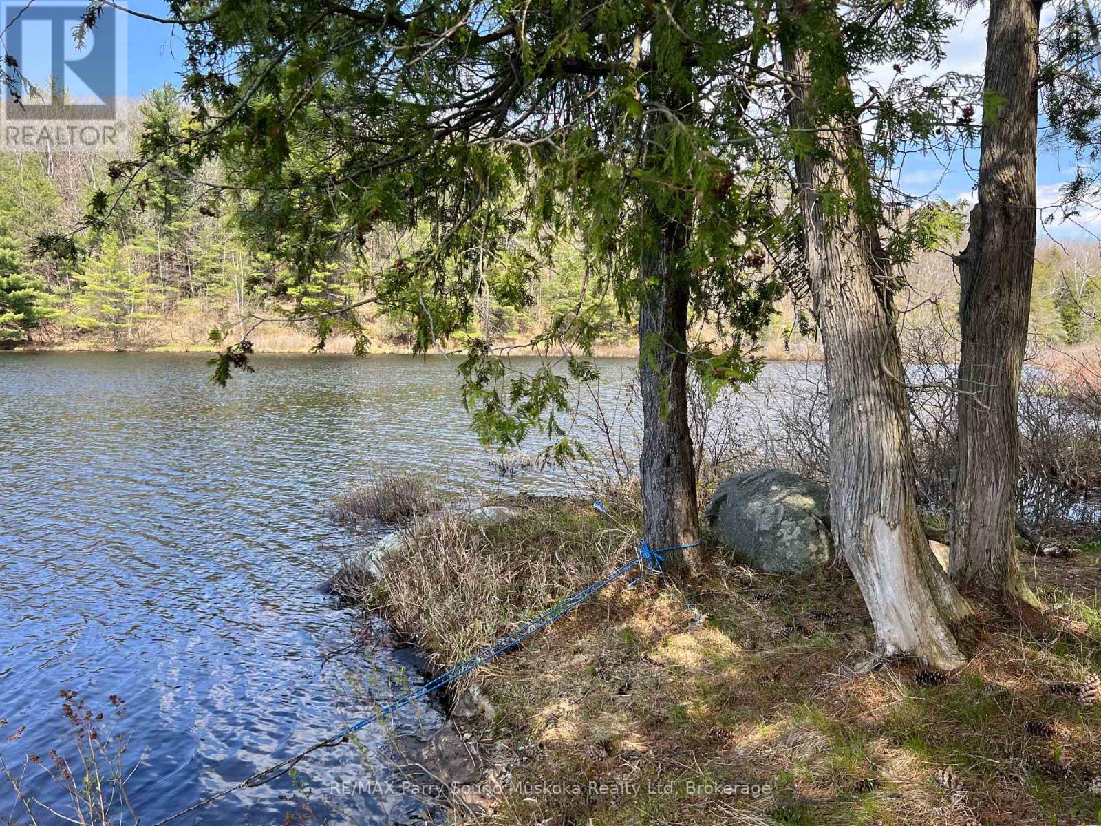 Part Lot 31 Rose Point Trail, Seguin, Ontario  P2A 0B2 - Photo 10 - X12317438