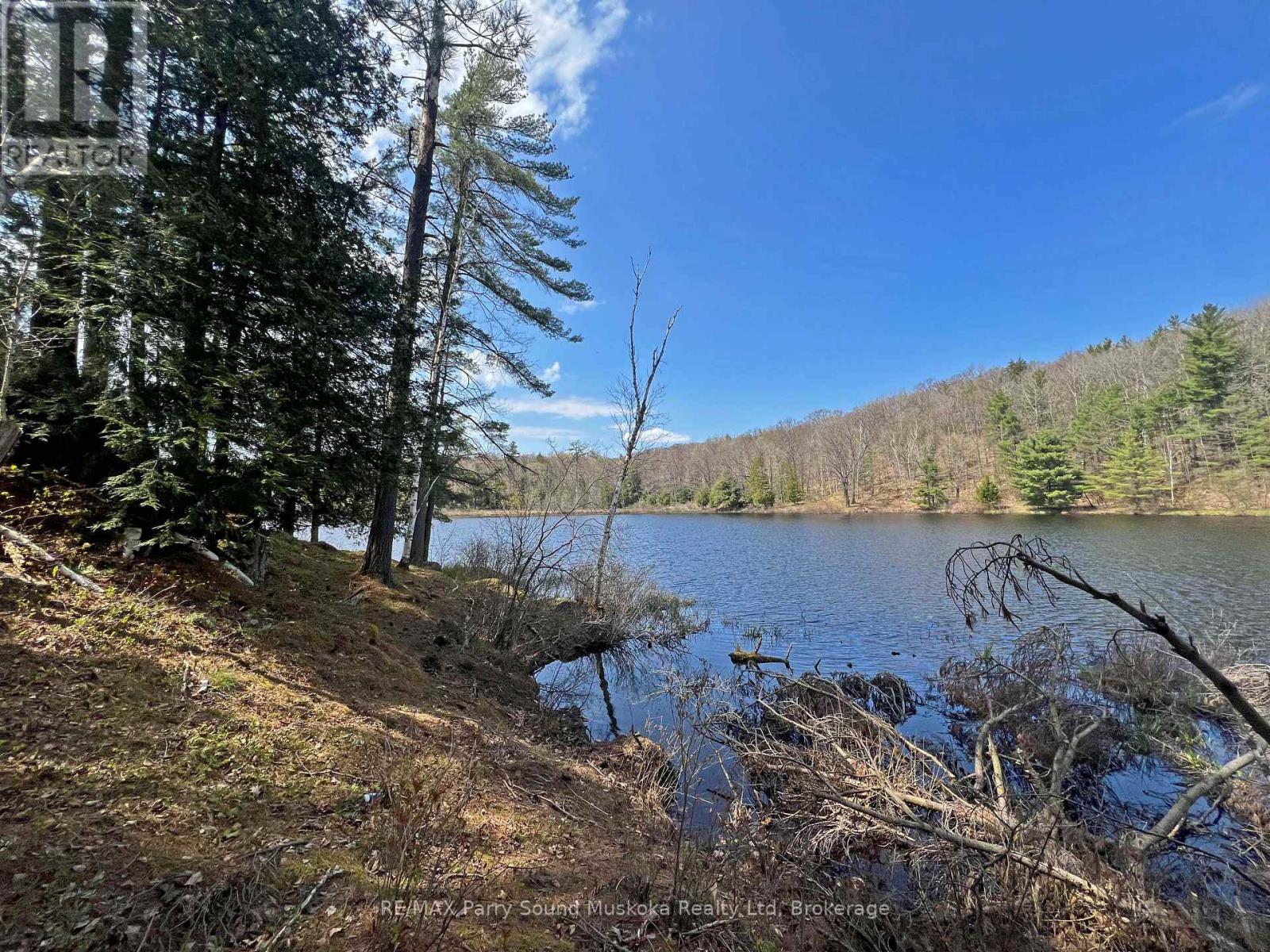 Part Lot 31 Rose Point Trail, Seguin, Ontario  P2A 0B2 - Photo 11 - X12317438