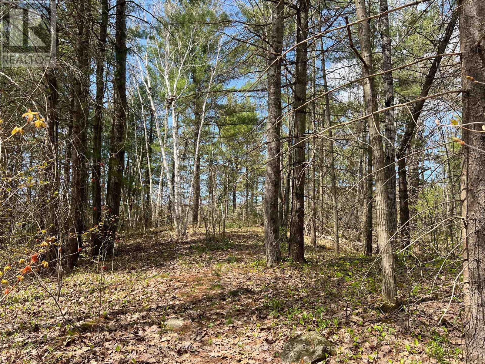 Part Lot 31 Rose Point Trail, Seguin, Ontario  P2A 0B2 - Photo 14 - X12317438