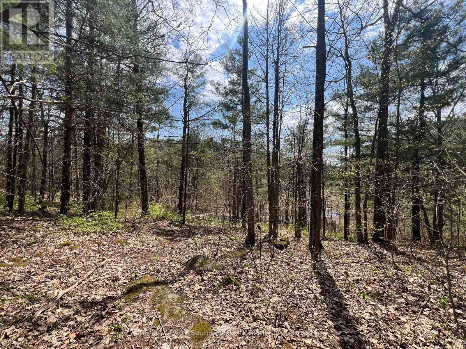 Part Lot 31 Rose Point Trail, Seguin, Ontario  P2A 0B2 - Photo 15 - X12317438