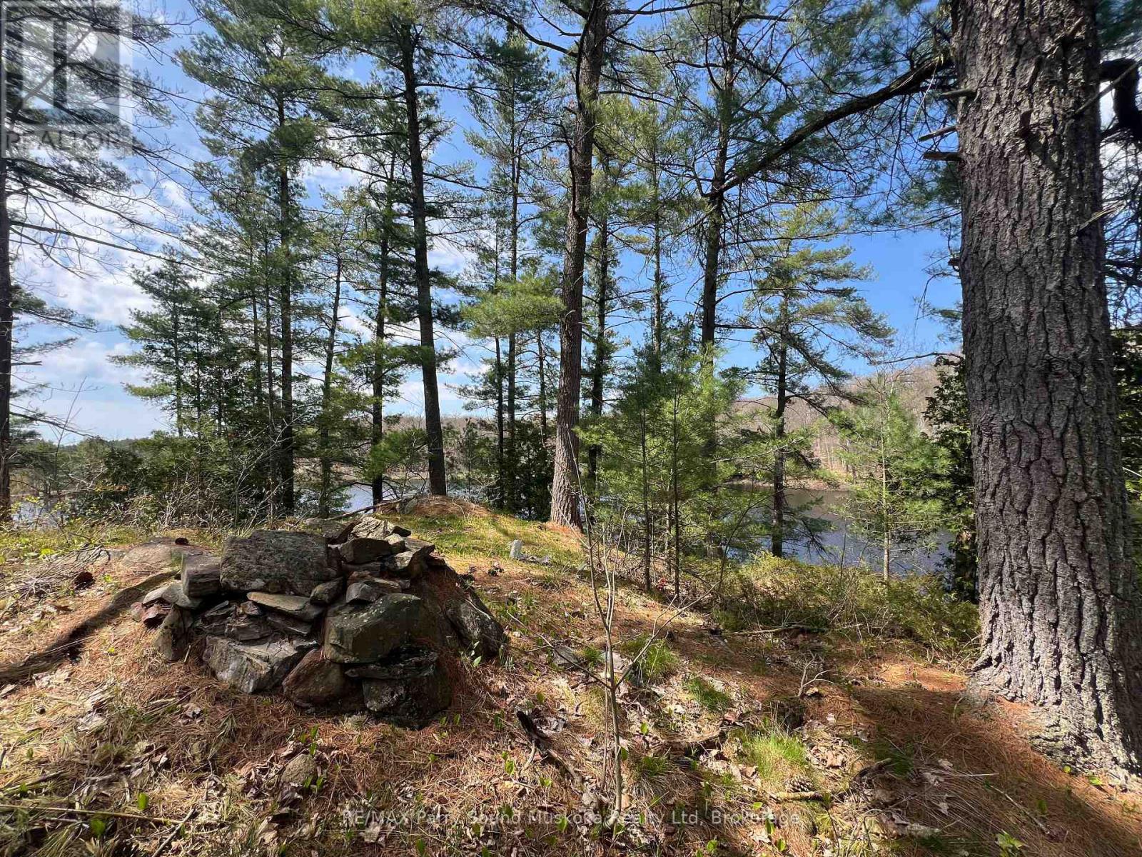 Part Lot 31 Rose Point Trail, Seguin, Ontario  P2A 0B2 - Photo 17 - X12317438