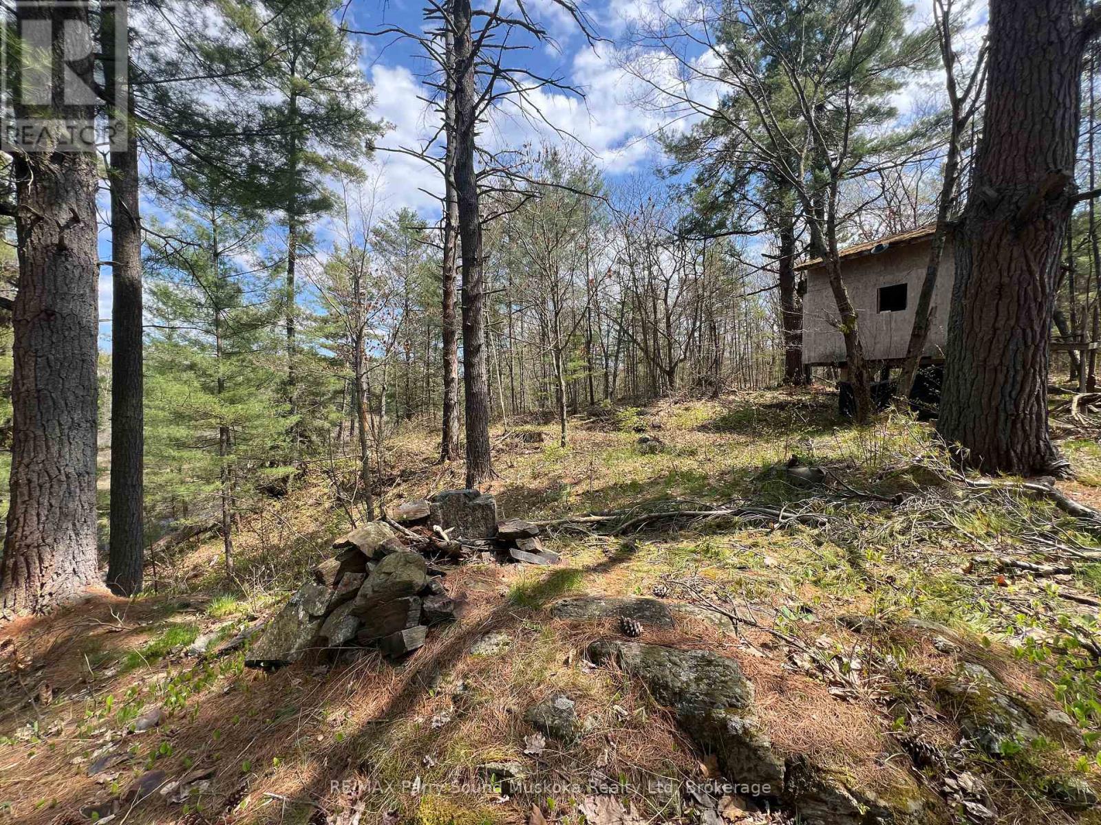 Part Lot 31 Rose Point Trail, Seguin, Ontario  P2A 0B2 - Photo 18 - X12317438