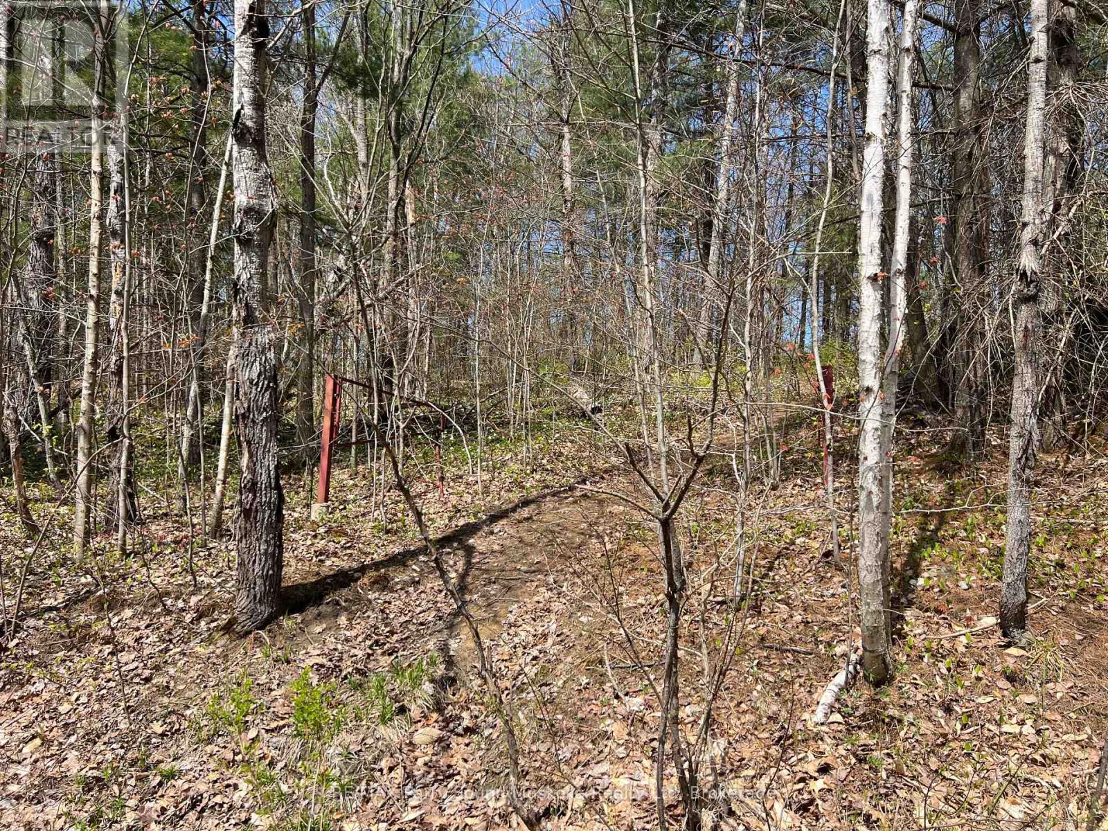 Part Lot 31 Rose Point Trail, Seguin, Ontario  P2A 0B2 - Photo 22 - X12317438