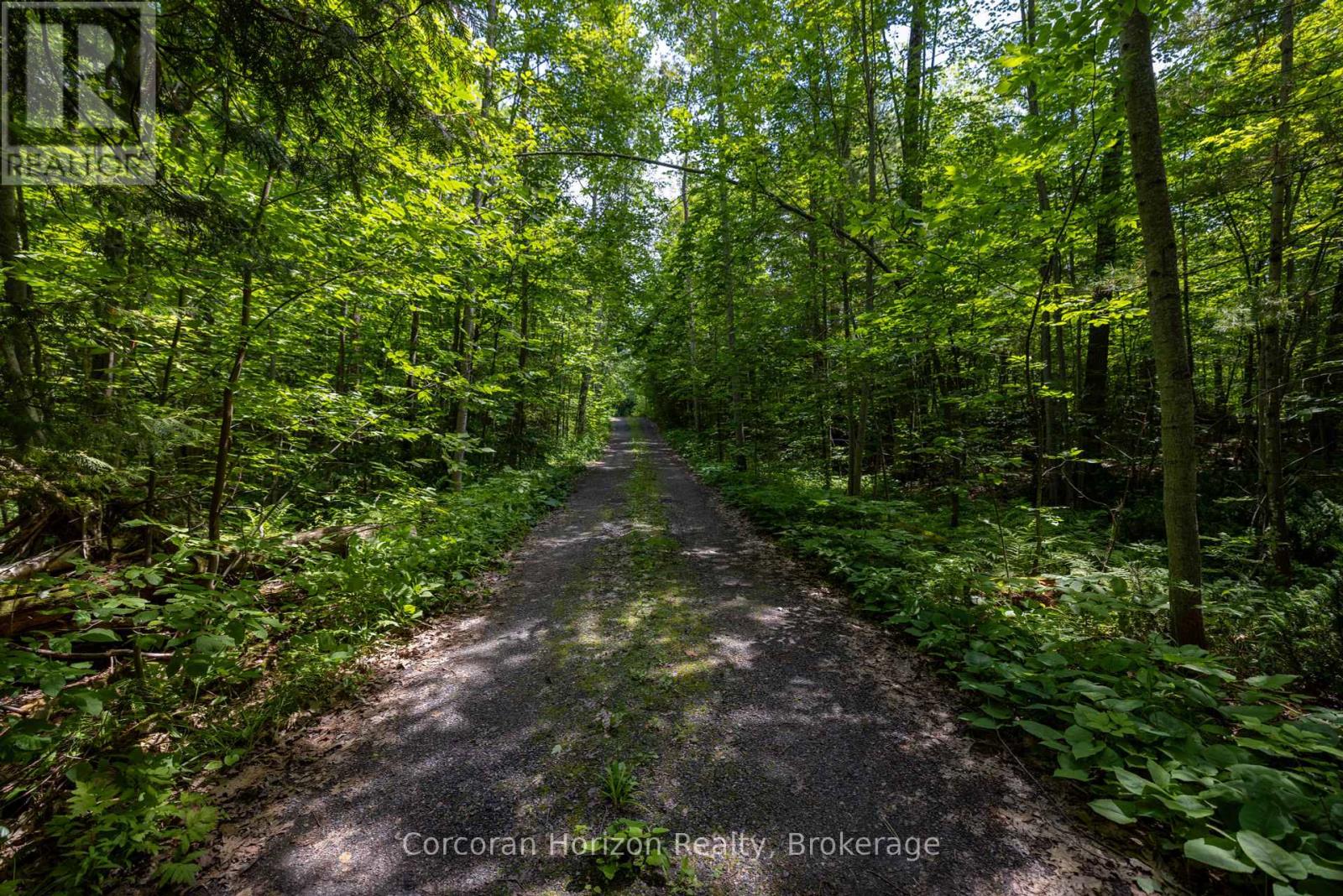 471 North Shore Rd, Georgian Bay, Ontario  L0K 1S0 - Photo 7 - X12319115