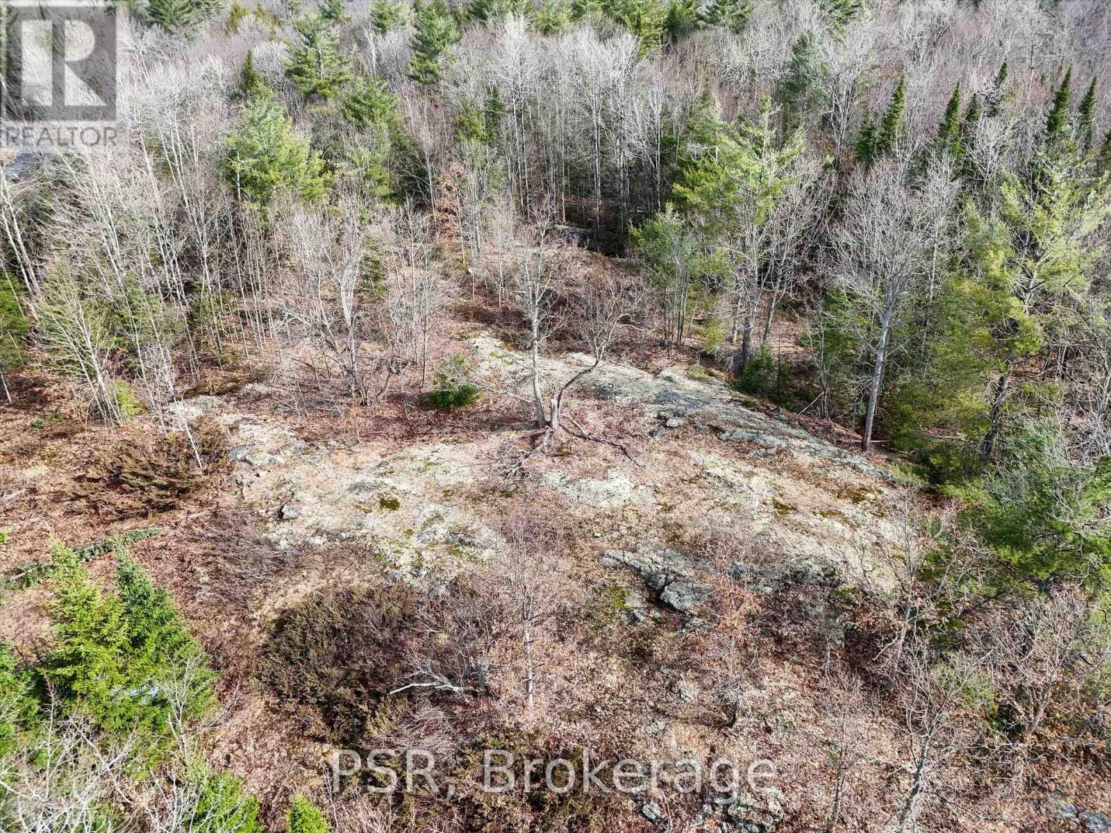 3410 Southwood Road, Gravenhurst, Ontario  P0G 1G0 - Photo 10 - X12324852