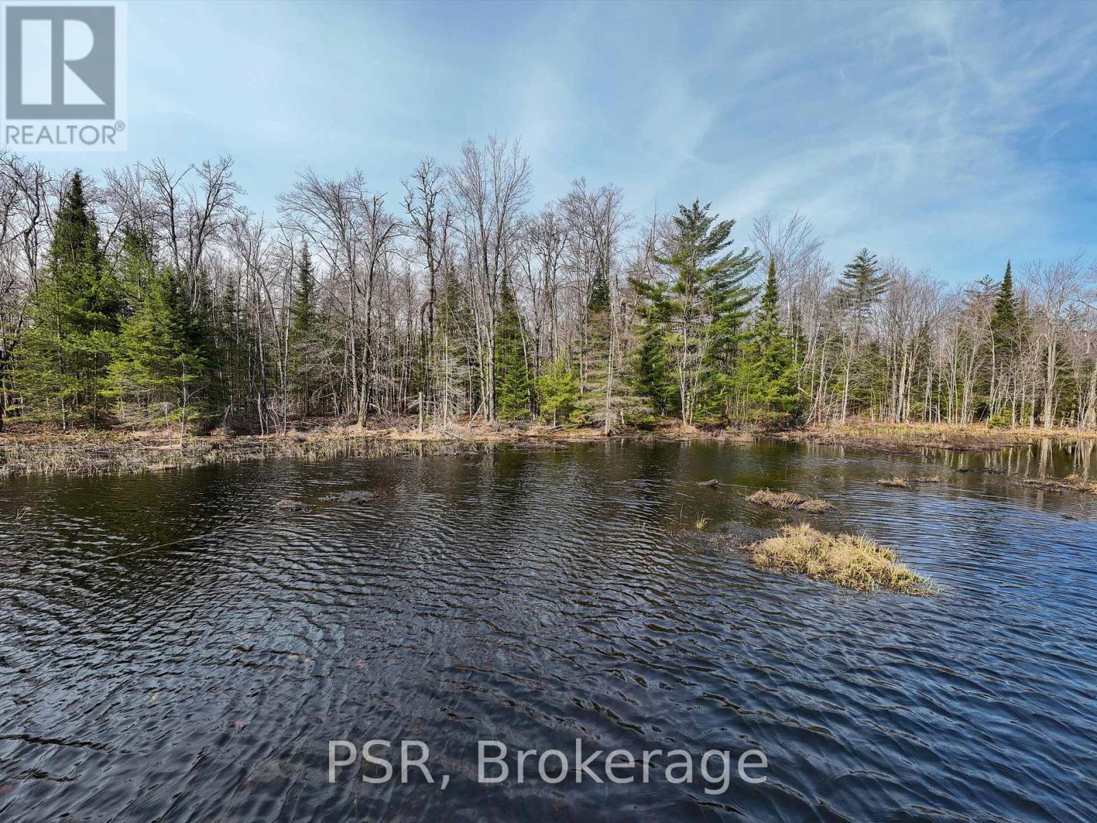 3410 Southwood Road, Gravenhurst, Ontario  P0G 1G0 - Photo 13 - X12324852