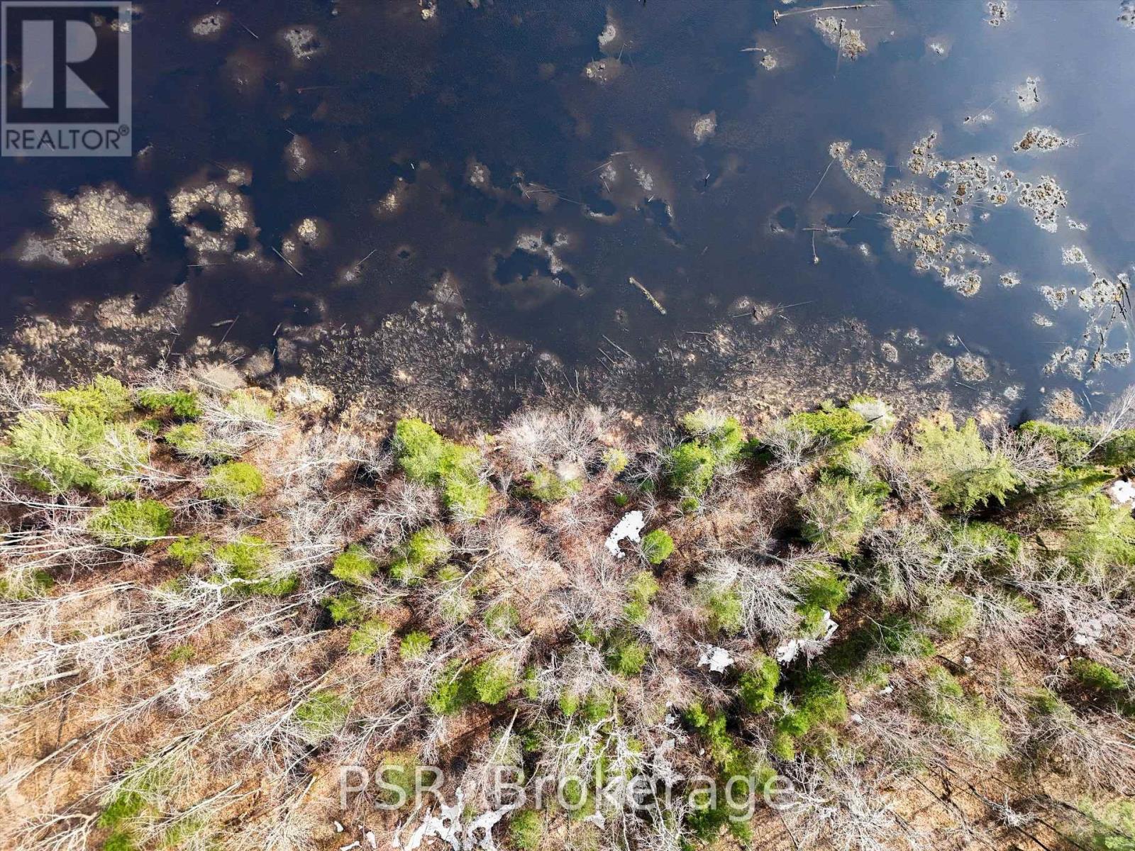 3410 Southwood Road, Gravenhurst, Ontario  P0G 1G0 - Photo 15 - X12324852