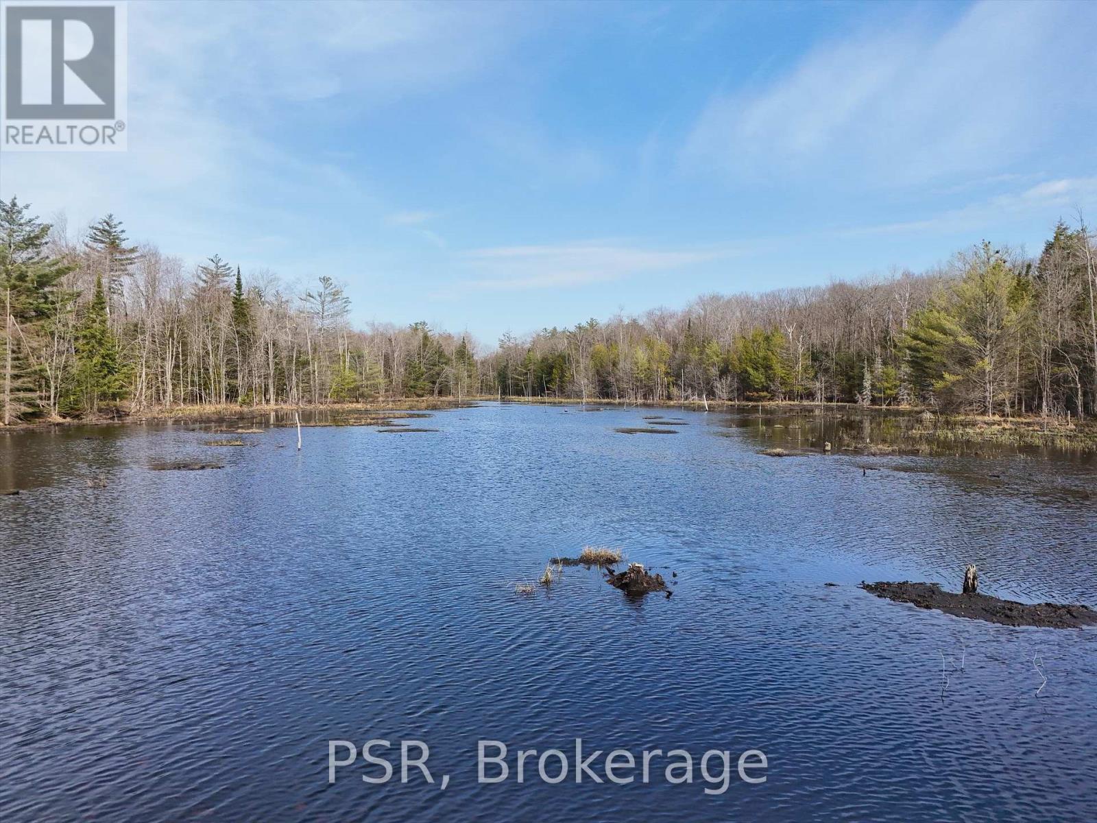 3410 Southwood Road, Gravenhurst, Ontario  P0G 1G0 - Photo 17 - X12324852