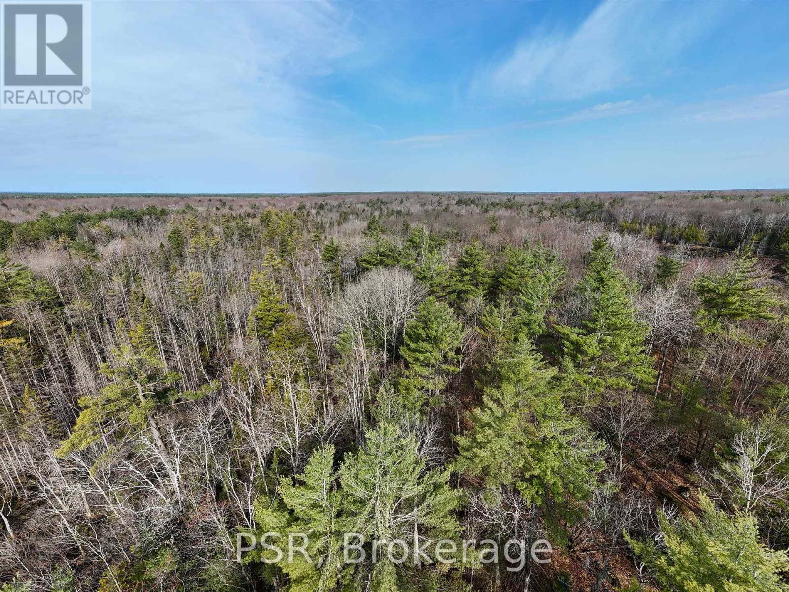 3410 Southwood Road, Gravenhurst, Ontario  P0G 1G0 - Photo 23 - X12324852