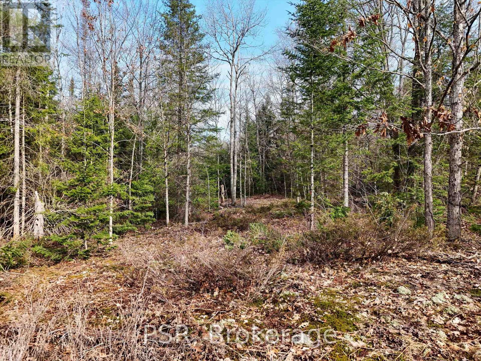 3410 Southwood Road, Gravenhurst, Ontario  P0G 1G0 - Photo 4 - X12324852