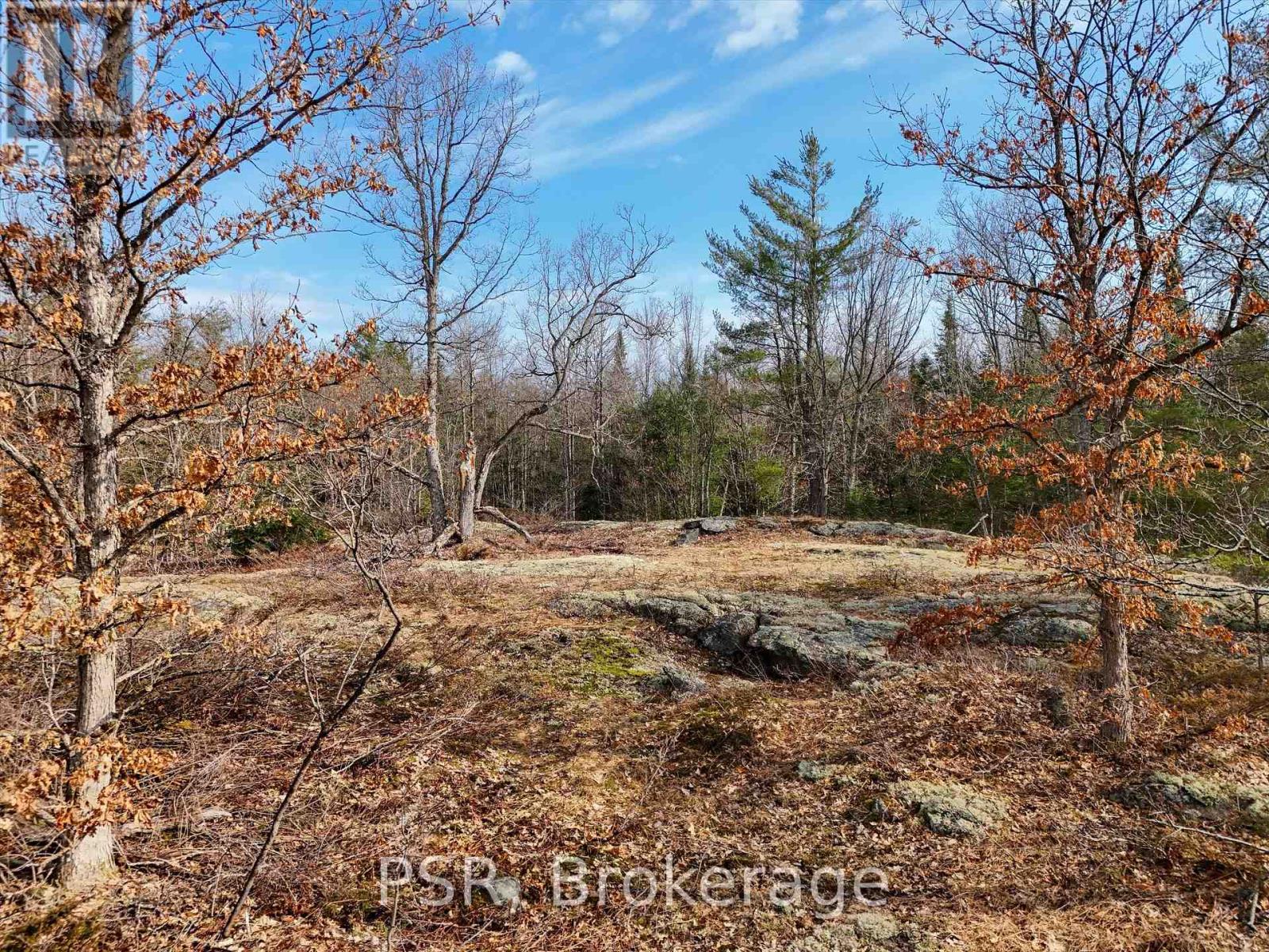 3410 Southwood Road, Gravenhurst, Ontario  P0G 1G0 - Photo 8 - X12324852