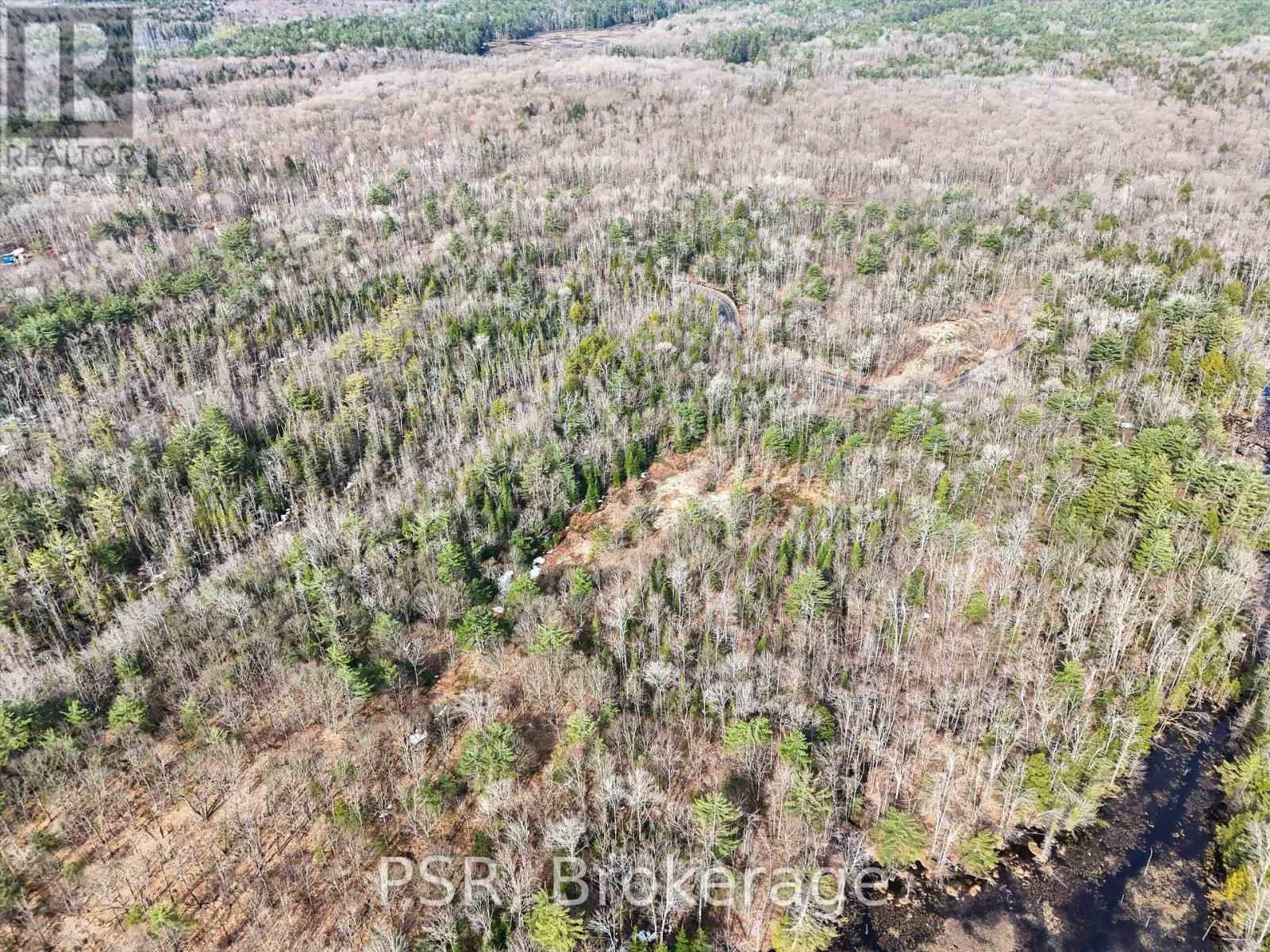 3410 Southwood Road, Gravenhurst, Ontario  P0G 1G0 - Photo 9 - X12324852