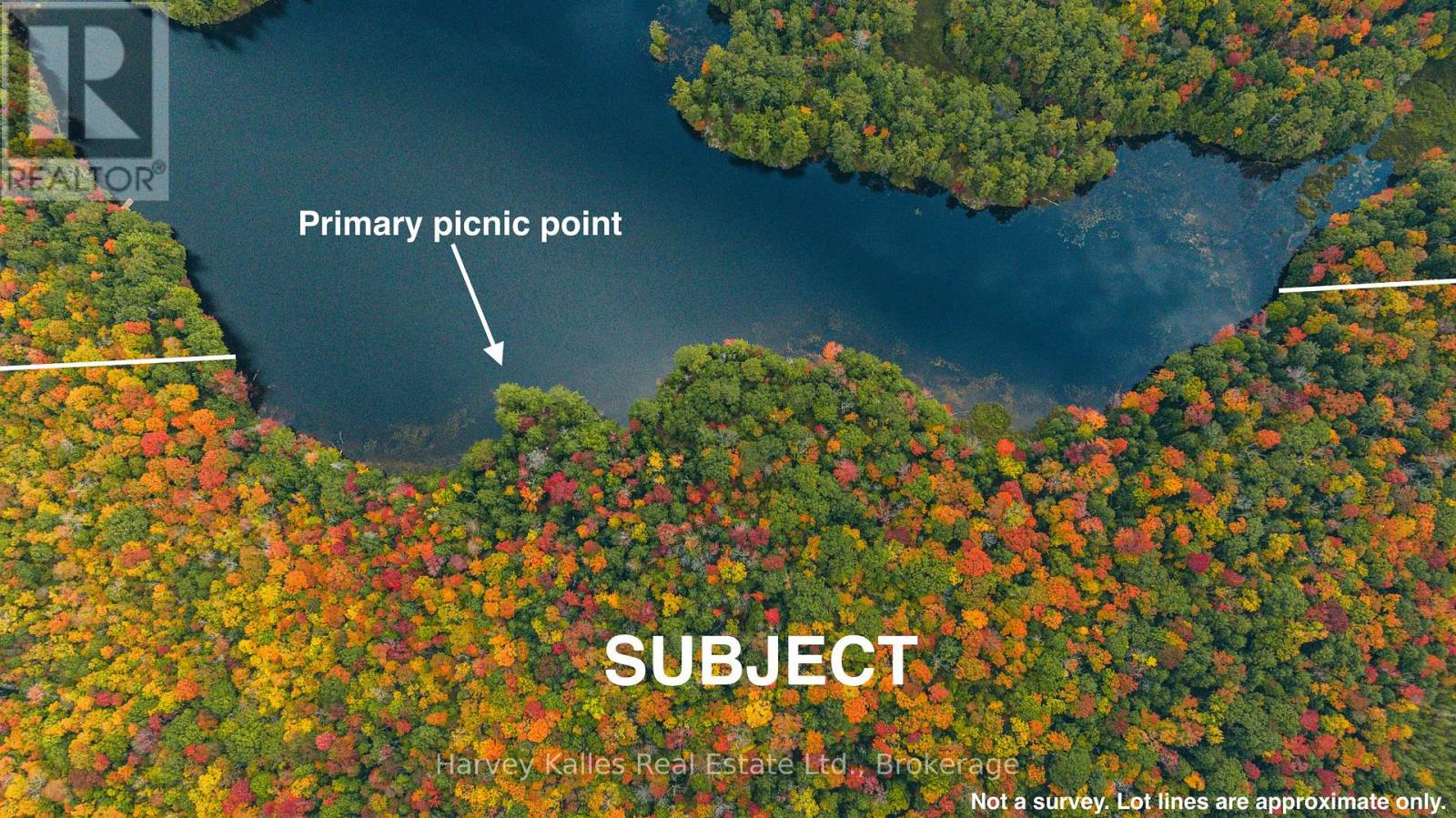 0 Windermere Road, Muskoka Lakes, Ontario  P0B 1M0 - Photo 11 - X12326029