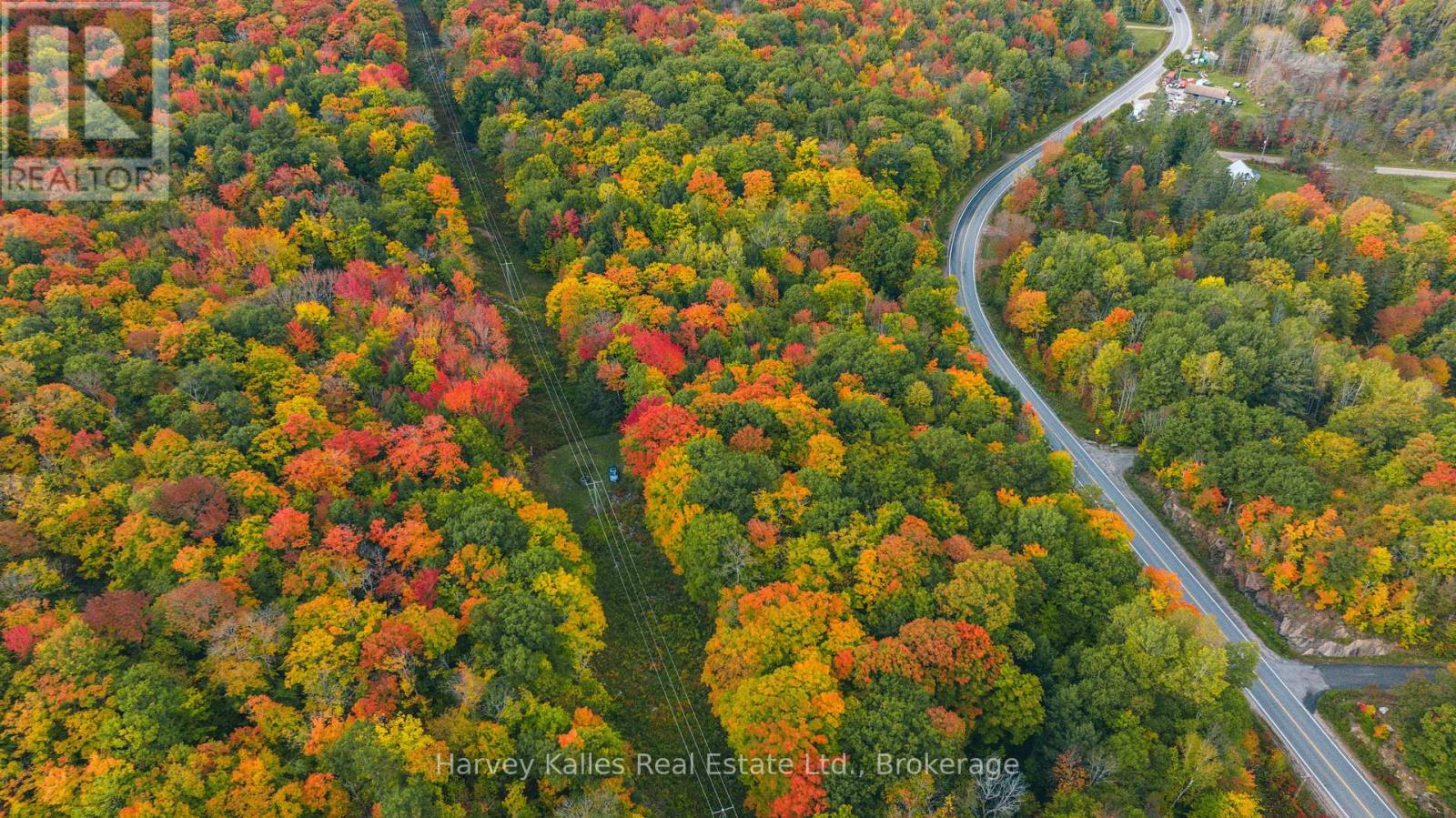 0 Windermere Road, Muskoka Lakes, Ontario  P0B 1M0 - Photo 17 - X12326029