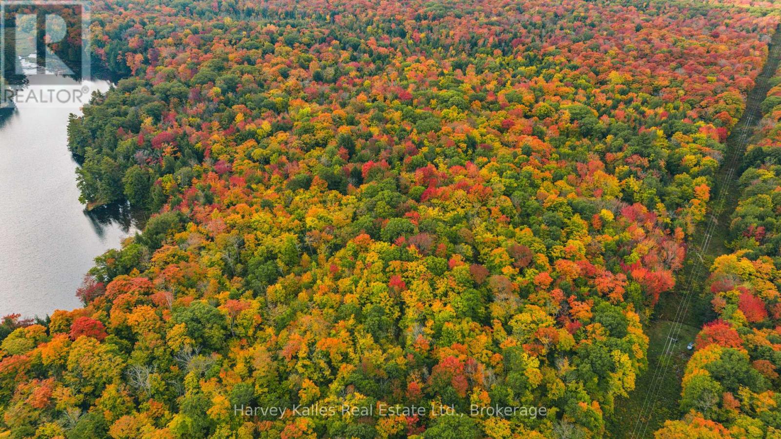 0 Windermere Road, Muskoka Lakes, Ontario  P0B 1M0 - Photo 18 - X12326029
