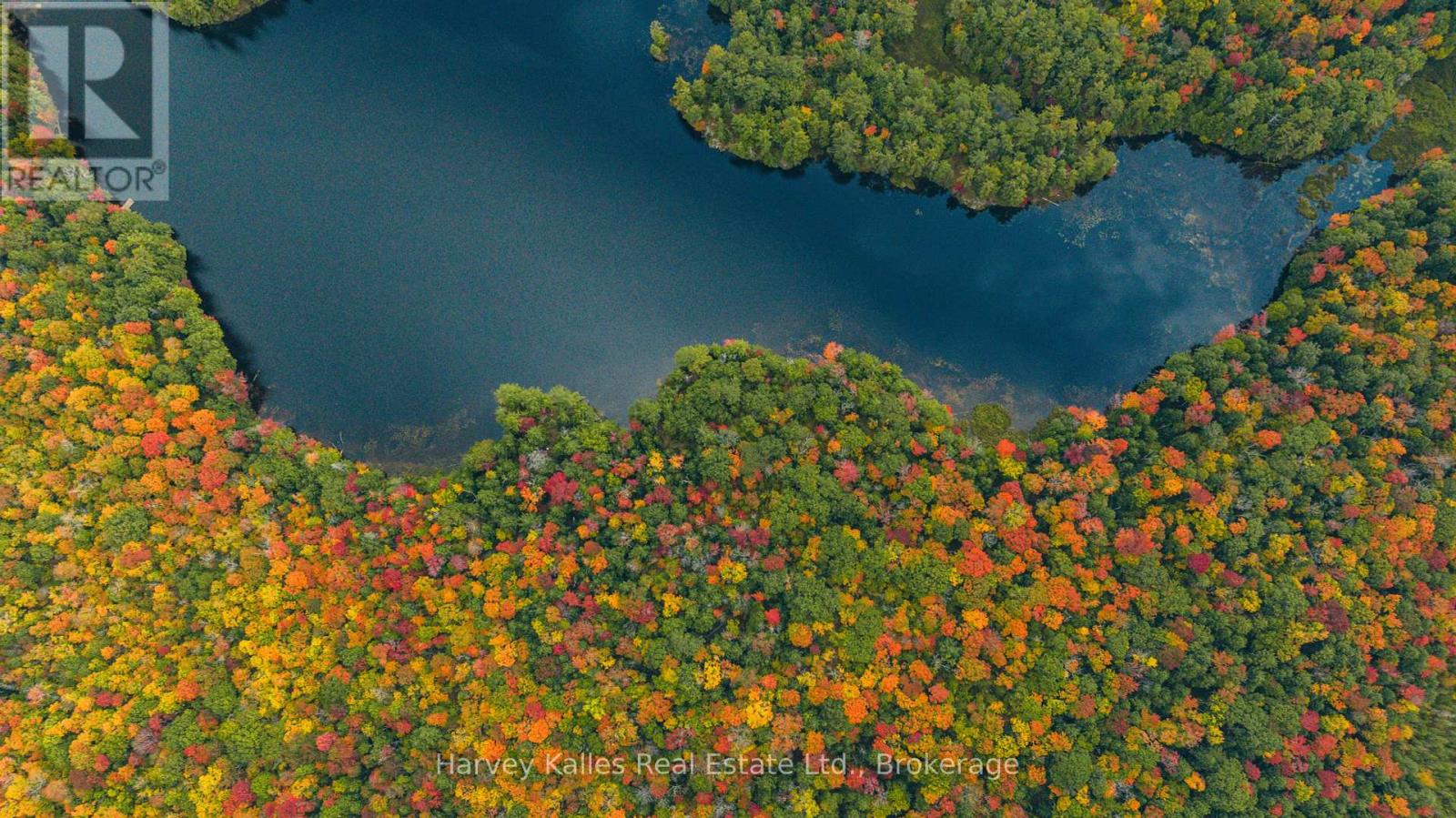 0 Windermere Road, Muskoka Lakes, Ontario  P0B 1M0 - Photo 21 - X12326029