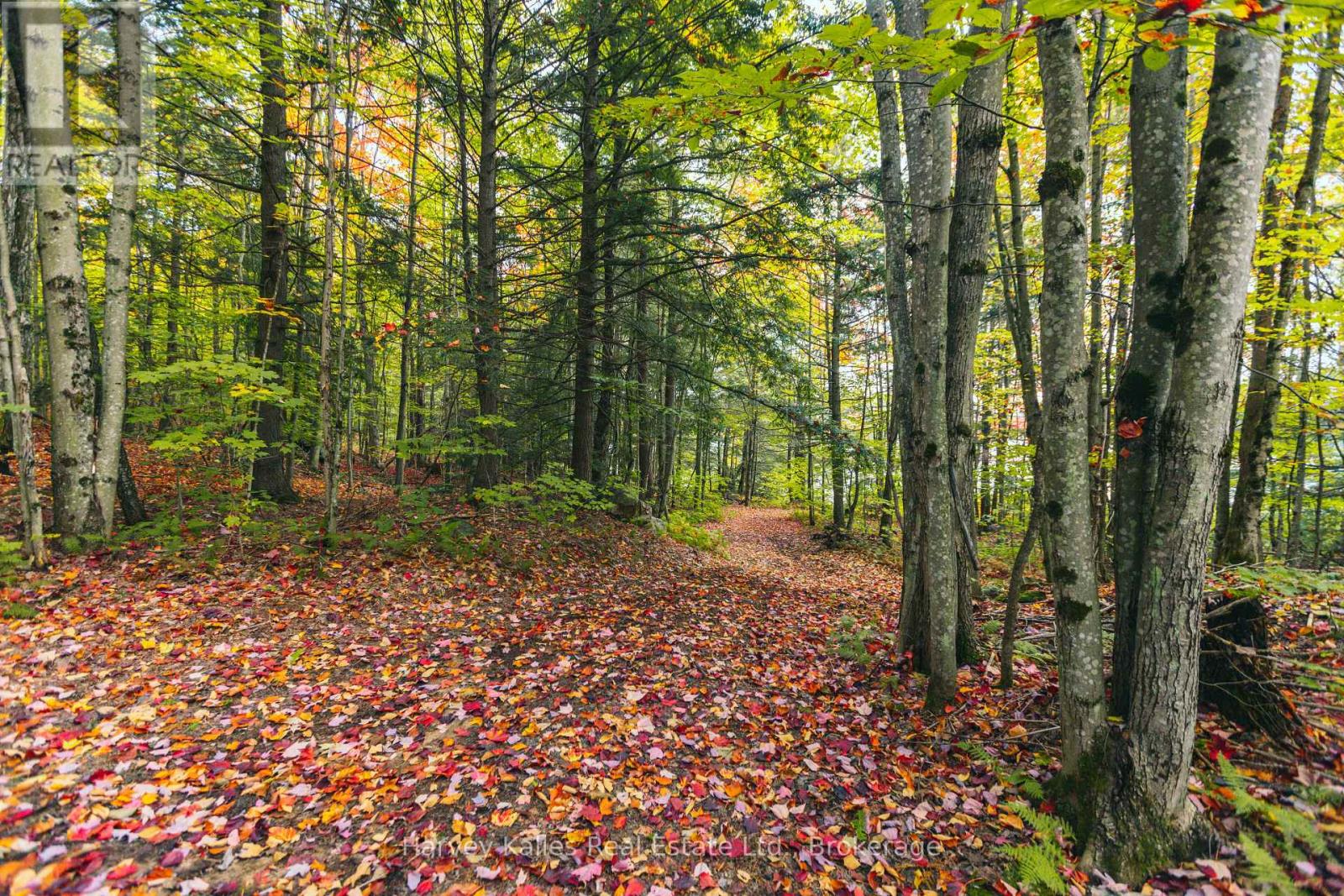 0 Windermere Road, Muskoka Lakes, Ontario  P0B 1M0 - Photo 25 - X12326029