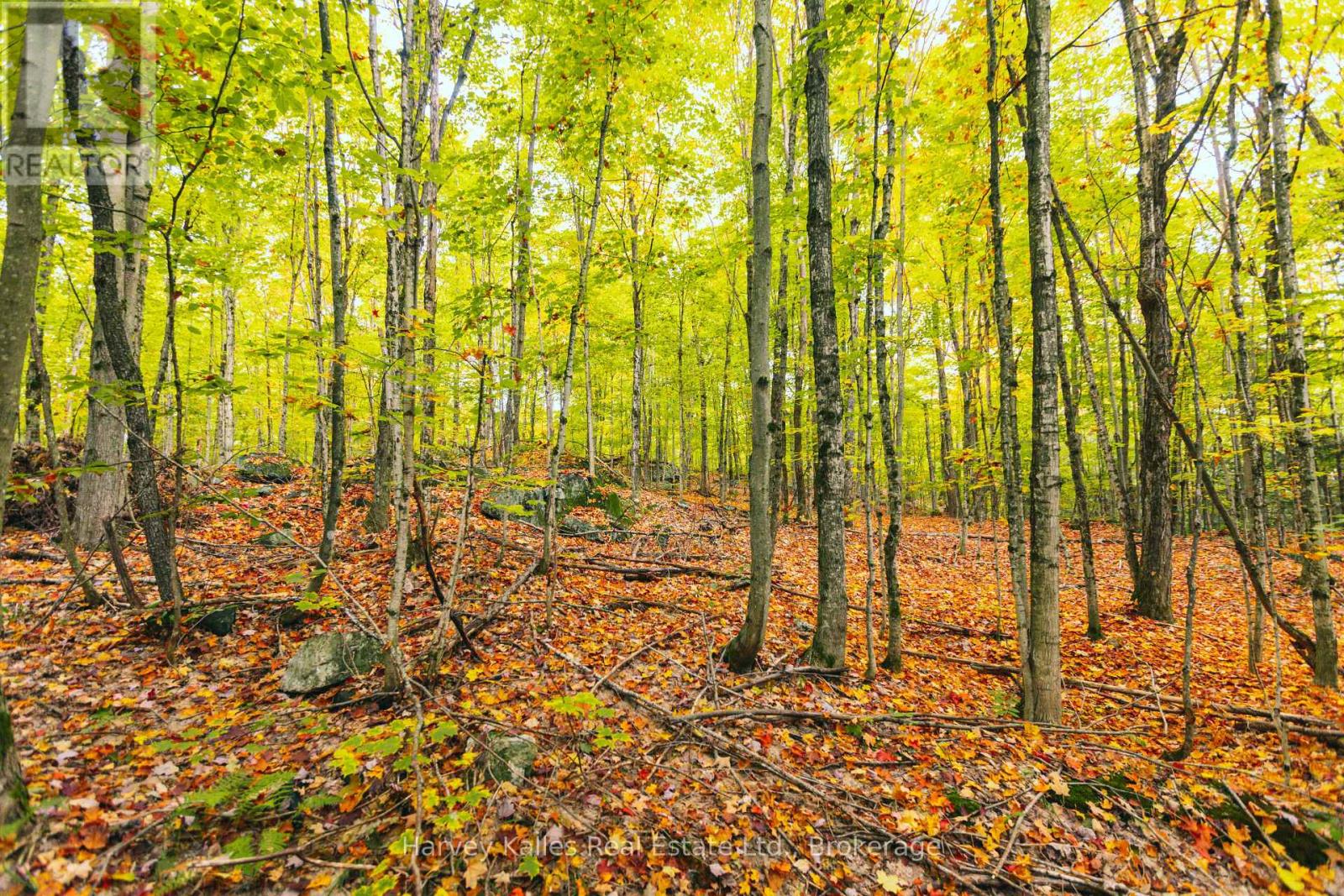 0 Windermere Road, Muskoka Lakes, Ontario  P0B 1M0 - Photo 26 - X12326029