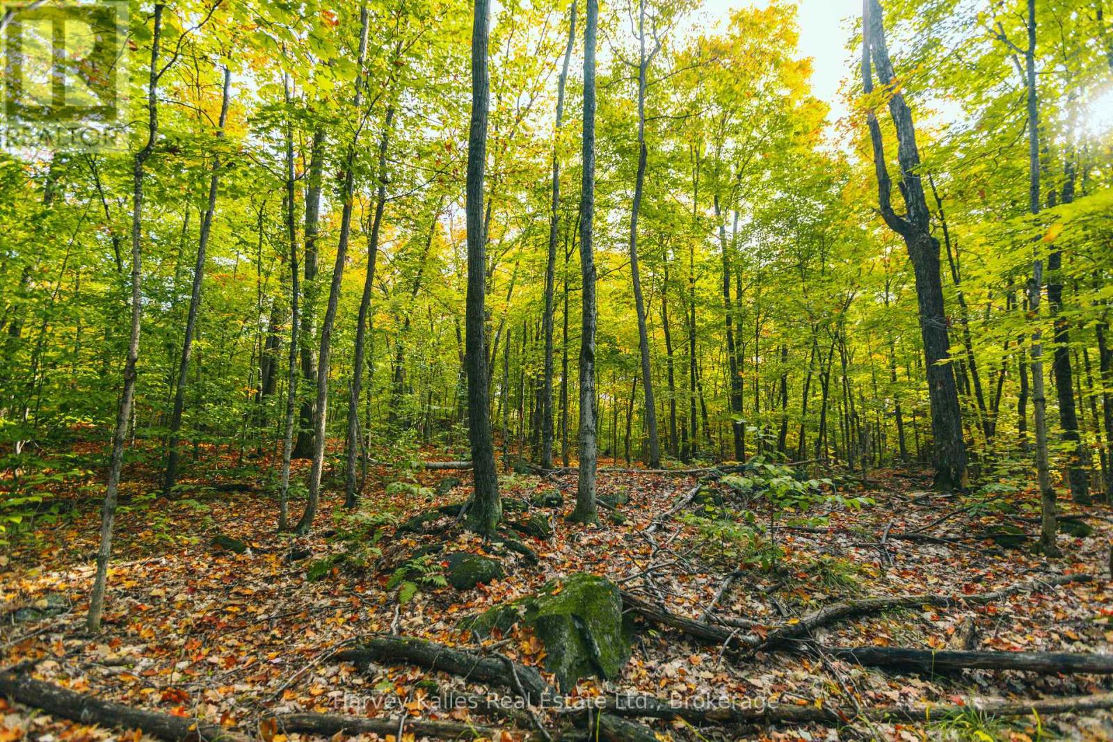 0 Windermere Road, Muskoka Lakes, Ontario  P0B 1M0 - Photo 27 - X12326029