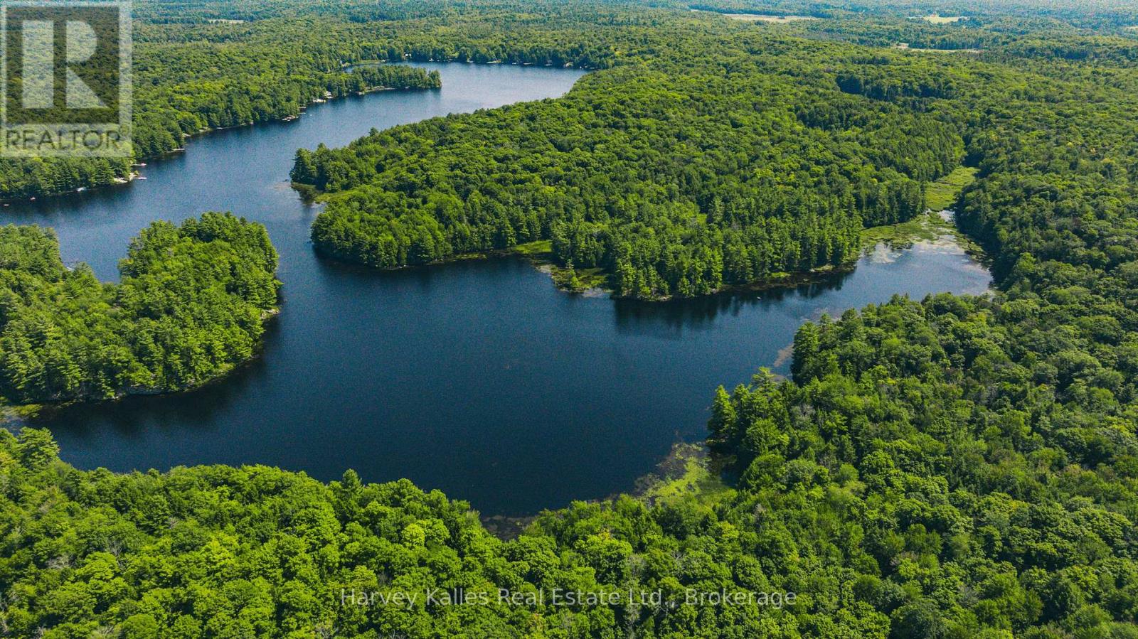 0 Windermere Road, Muskoka Lakes, Ontario  P0B 1M0 - Photo 3 - X12326029
