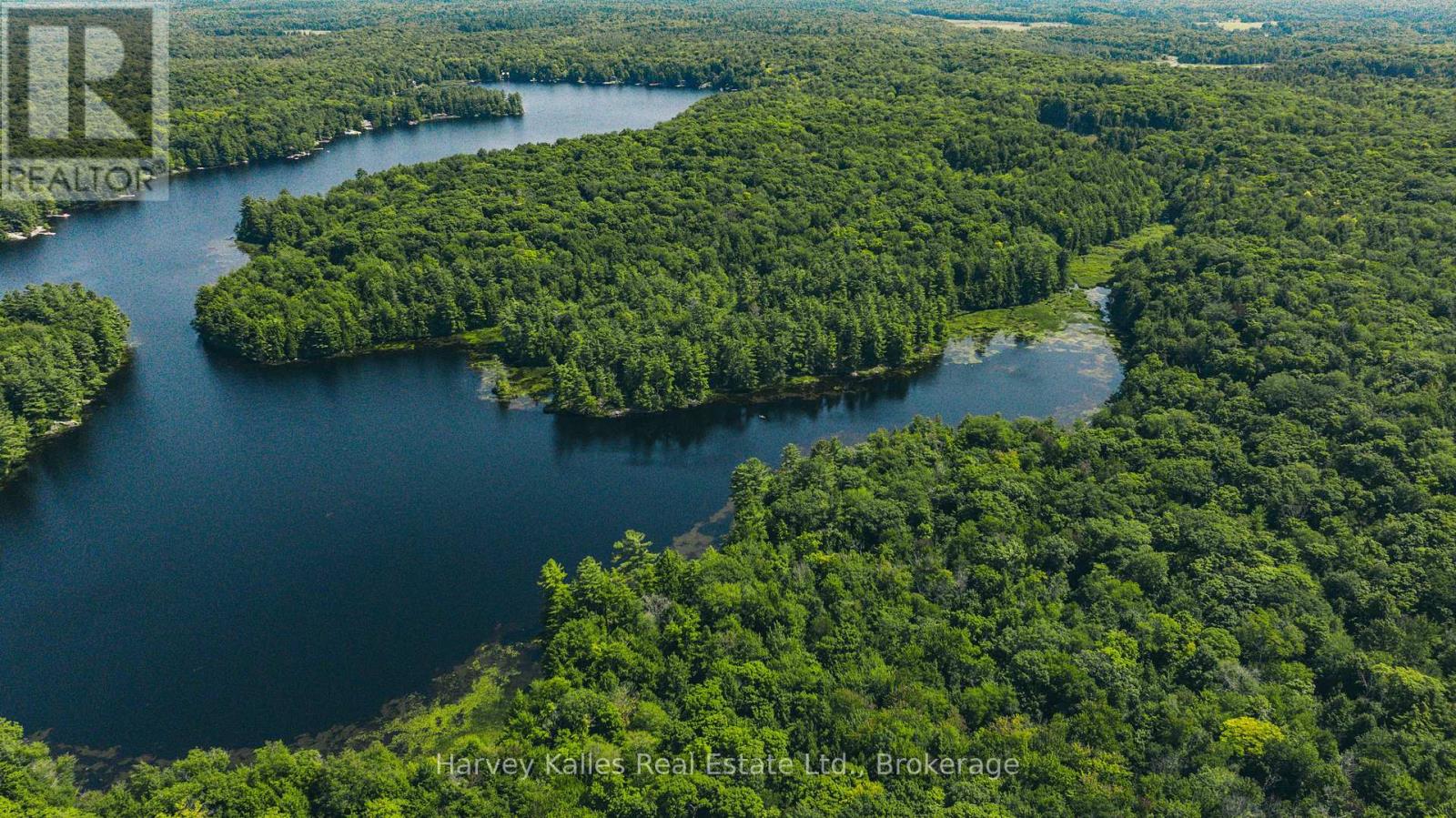 0 Windermere Road, Muskoka Lakes, Ontario  P0B 1M0 - Photo 4 - X12326029