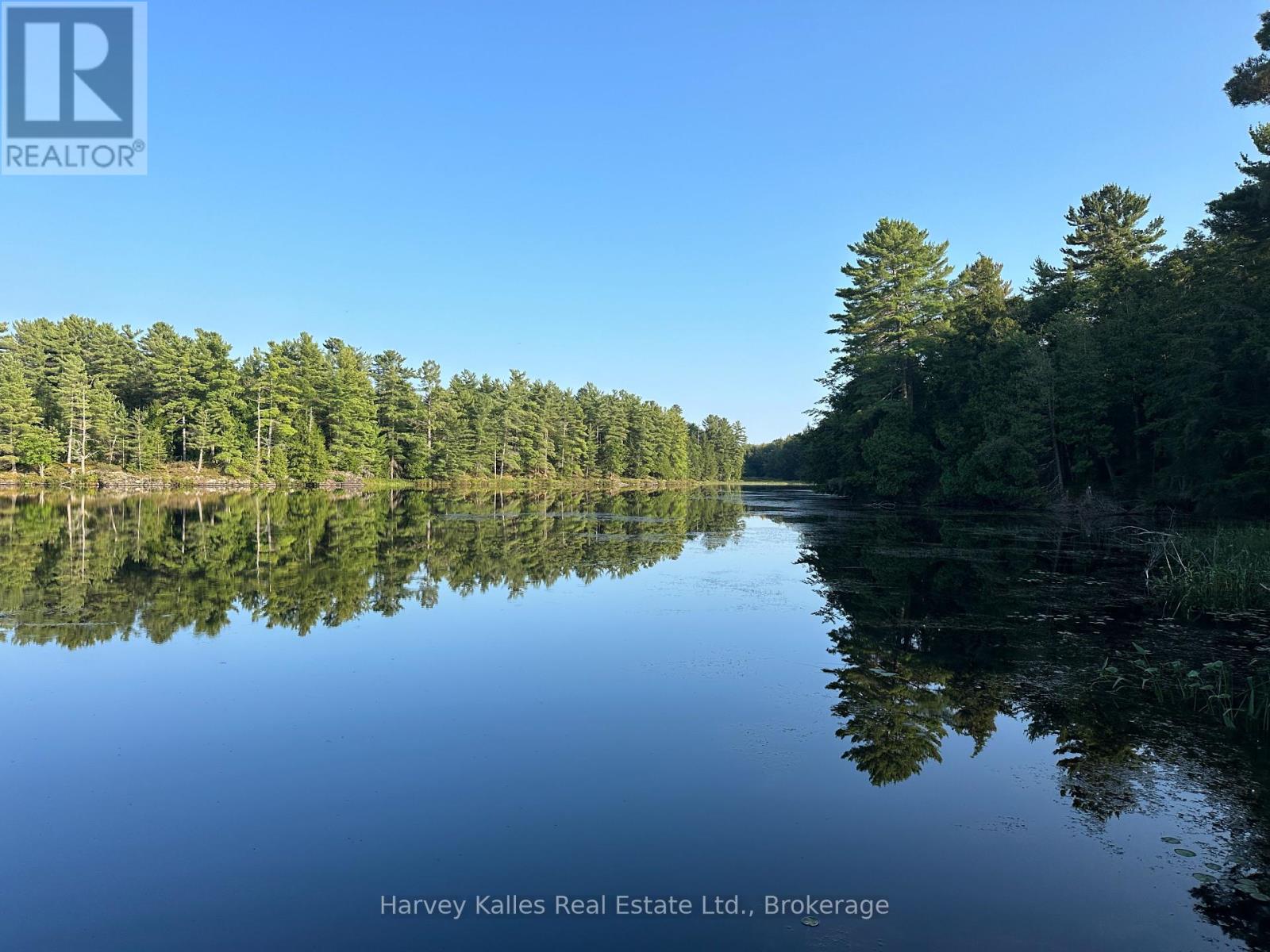 0 Windermere Road, Muskoka Lakes, Ontario  P0B 1M0 - Photo 7 - X12326029