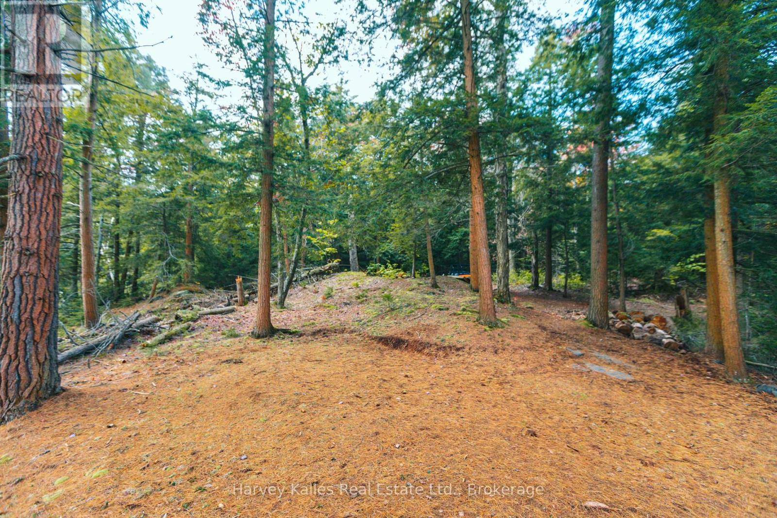 0 Windermere Road, Muskoka Lakes, Ontario  P0B 1M0 - Photo 8 - X12326029