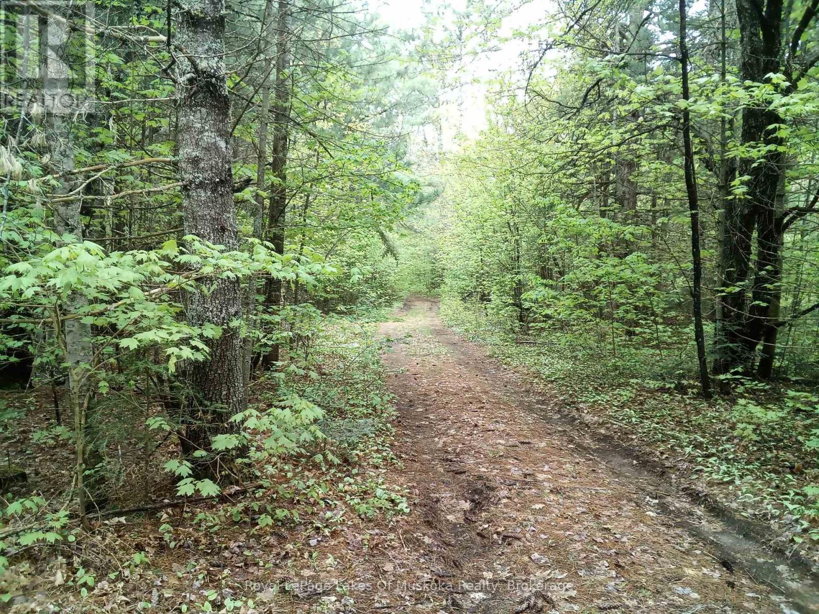 1590 Yearley Road, Huntsville, Ontario  P0B 1M0 - Photo 1 - X12335484