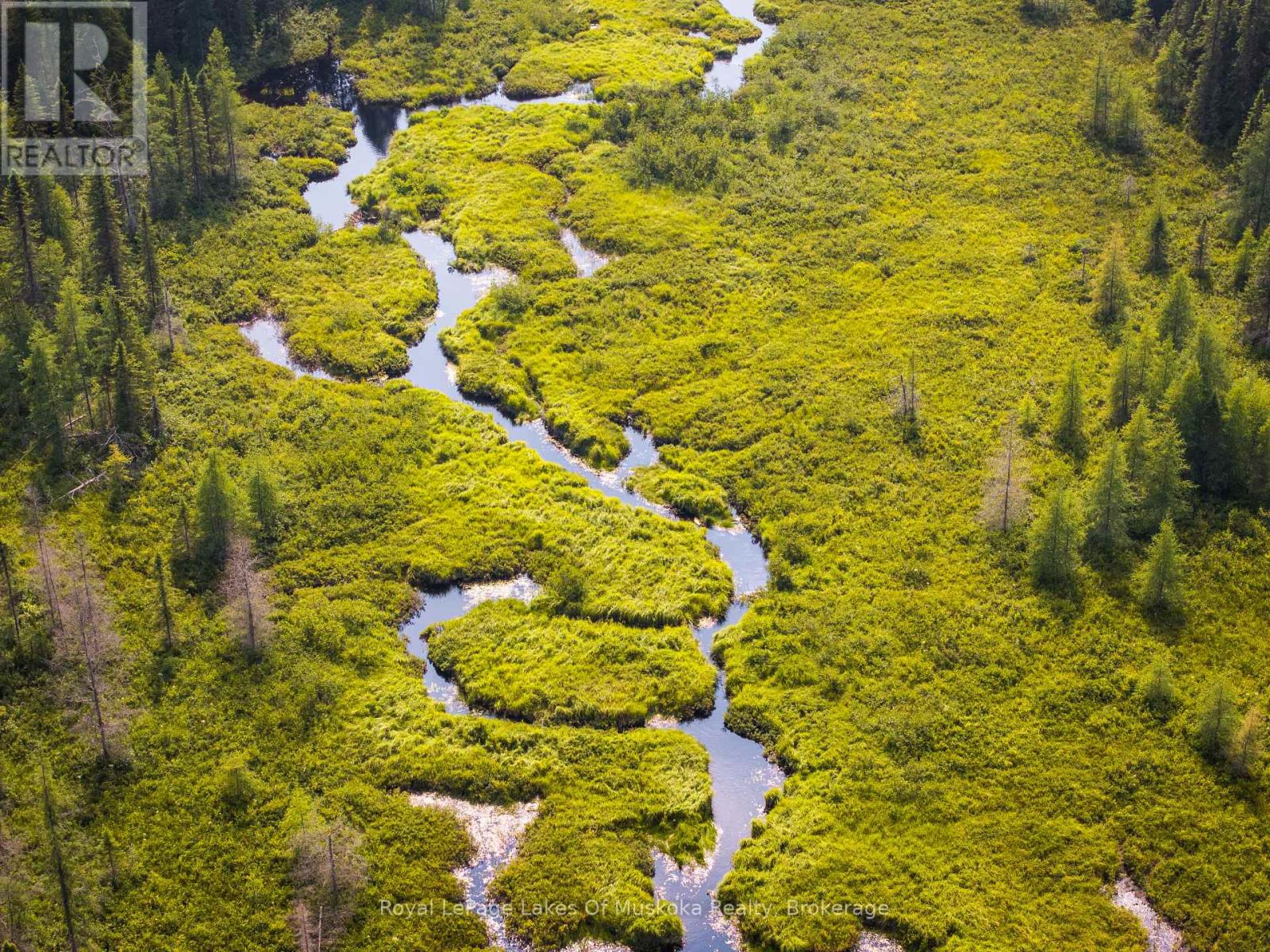 1590 Yearley Road, Huntsville, Ontario  P0B 1M0 - Photo 2 - X12335484