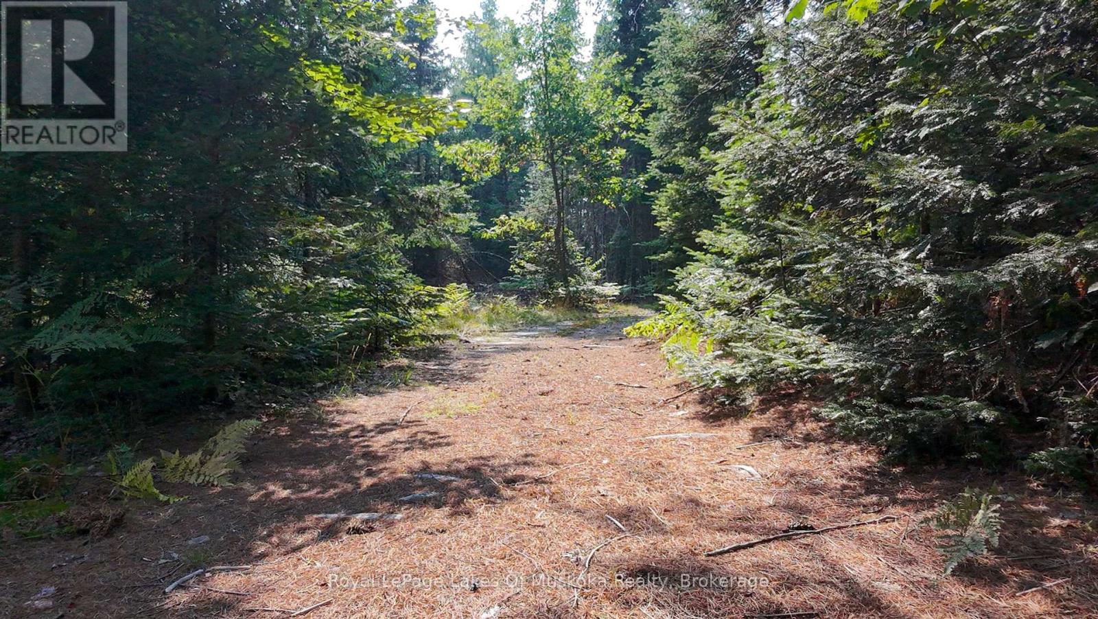 1590 Yearley Road, Huntsville, Ontario  P0B 1M0 - Photo 24 - X12335484