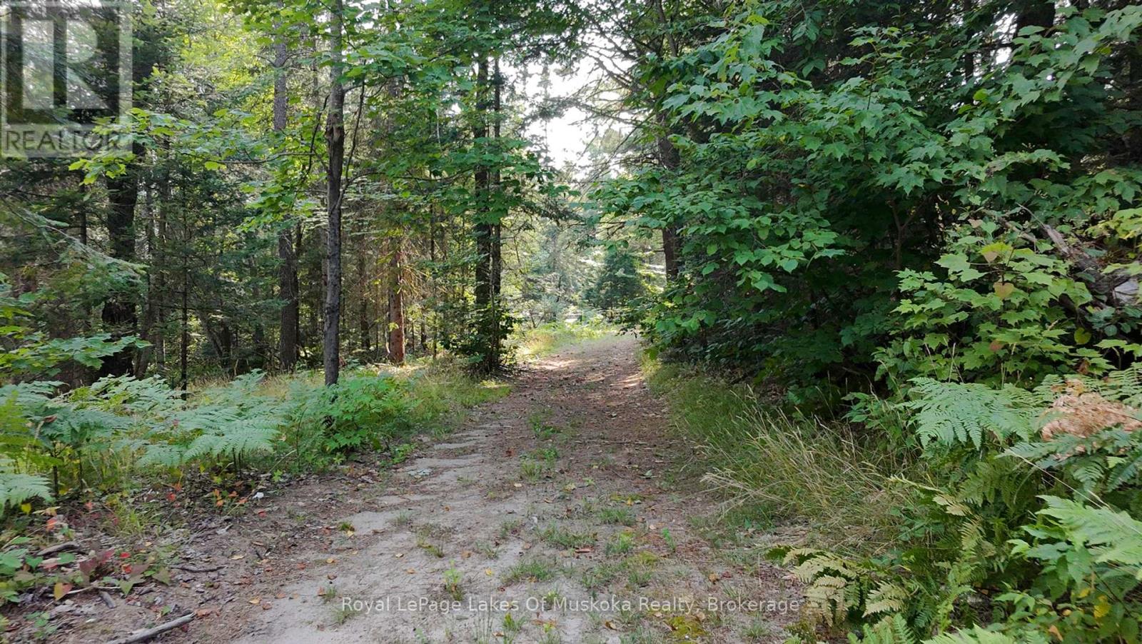 1590 Yearley Road, Huntsville, Ontario  P0B 1M0 - Photo 25 - X12335484