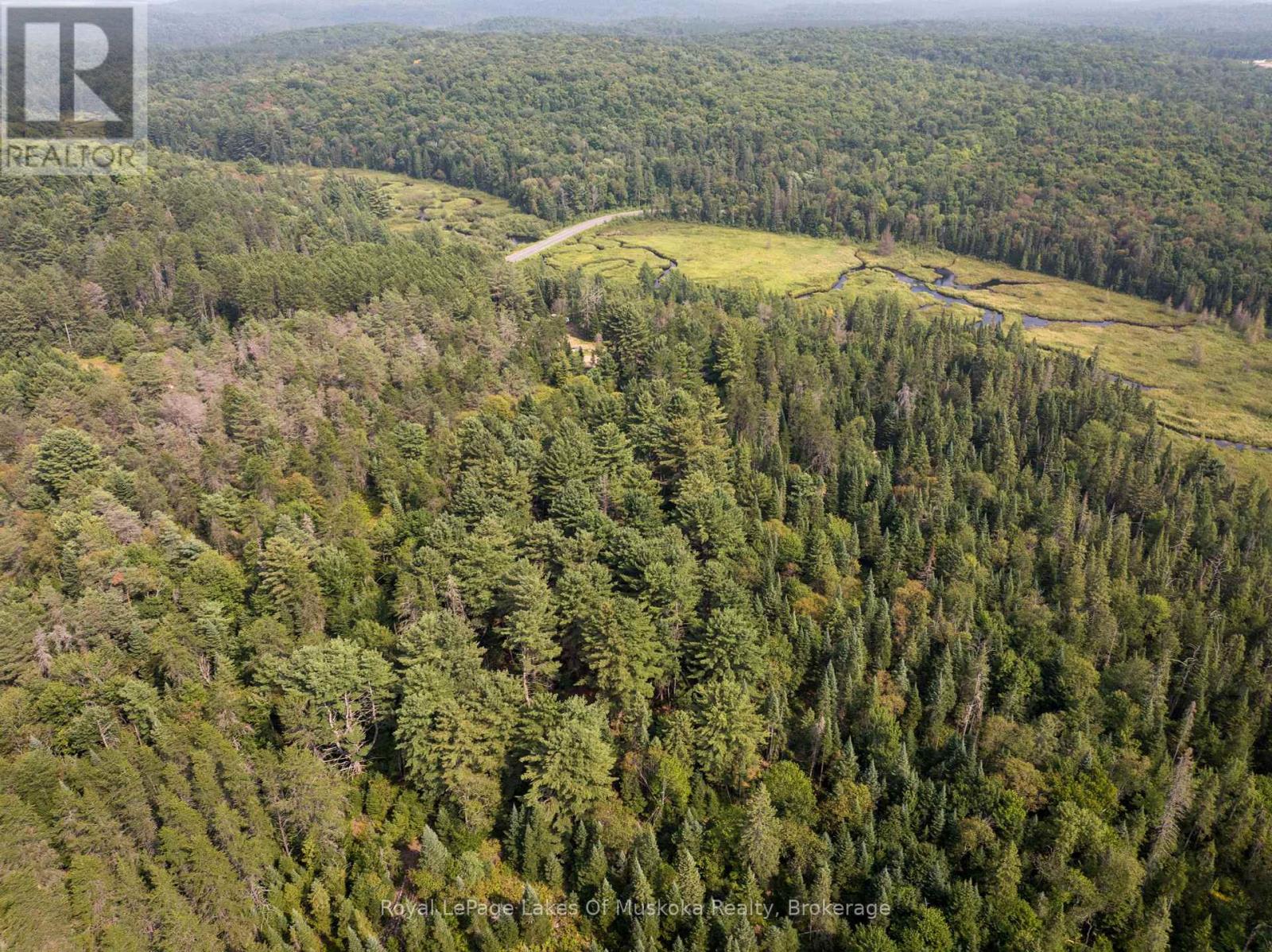 1590 Yearley Road, Huntsville, Ontario  P0B 1M0 - Photo 28 - X12335484