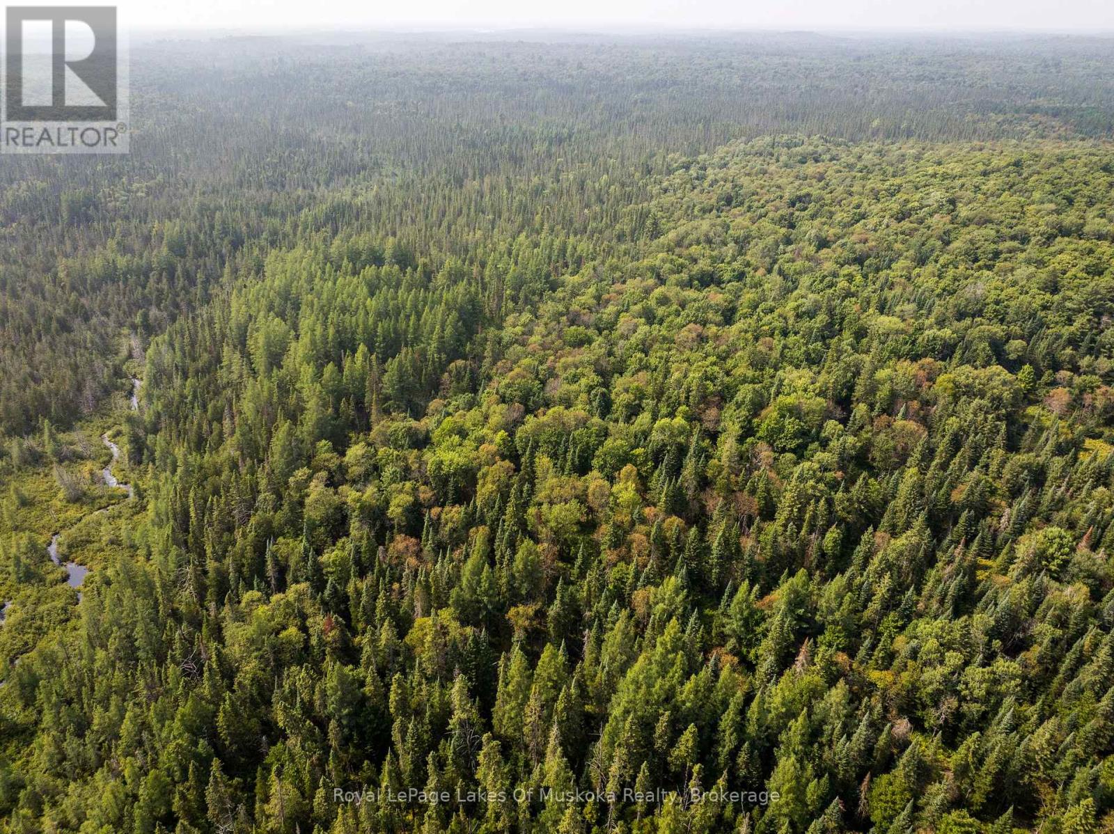 1590 Yearley Road, Huntsville, Ontario  P0B 1M0 - Photo 30 - X12335484