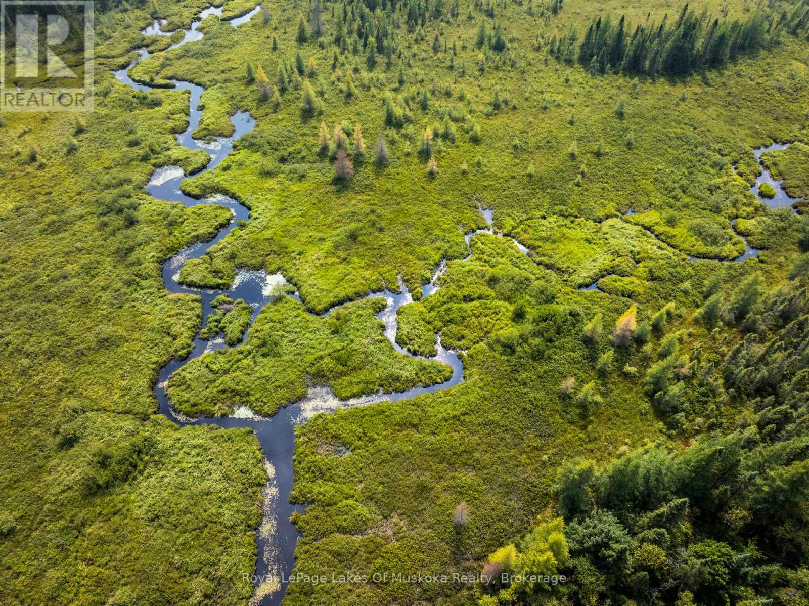 1590 Yearley Road, Huntsville, Ontario  P0B 1M0 - Photo 31 - X12335484