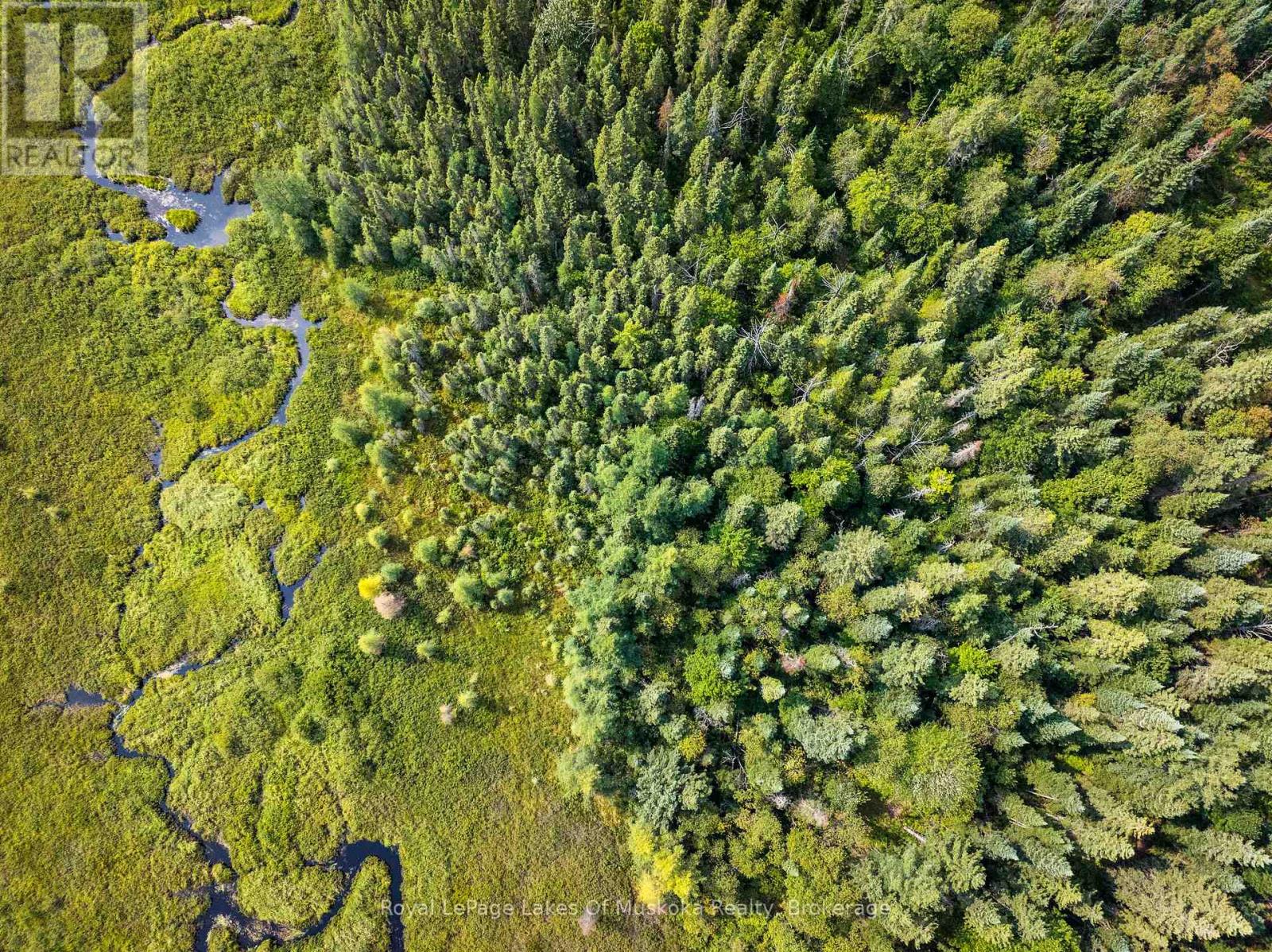 1590 Yearley Road, Huntsville, Ontario  P0B 1M0 - Photo 32 - X12335484