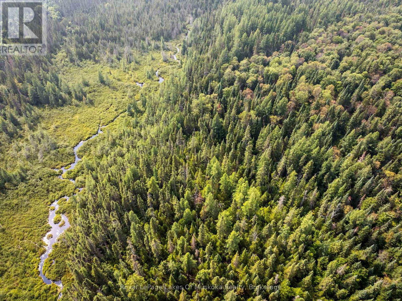 1590 Yearley Road, Huntsville, Ontario  P0B 1M0 - Photo 34 - X12335484