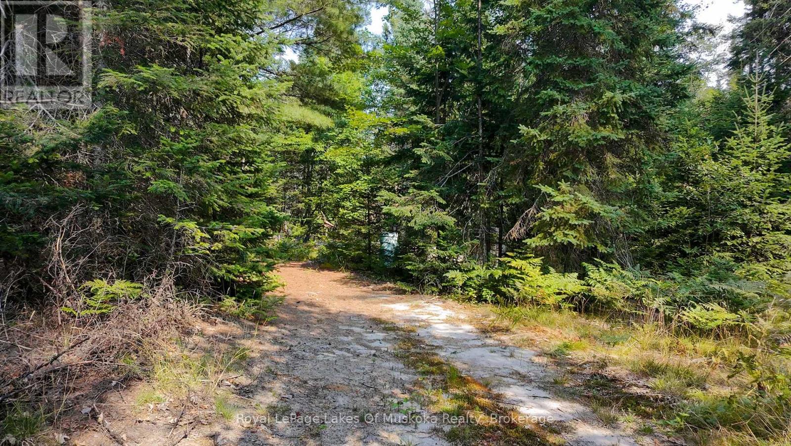 1590 Yearley Road, Huntsville, Ontario  P0B 1M0 - Photo 35 - X12335484